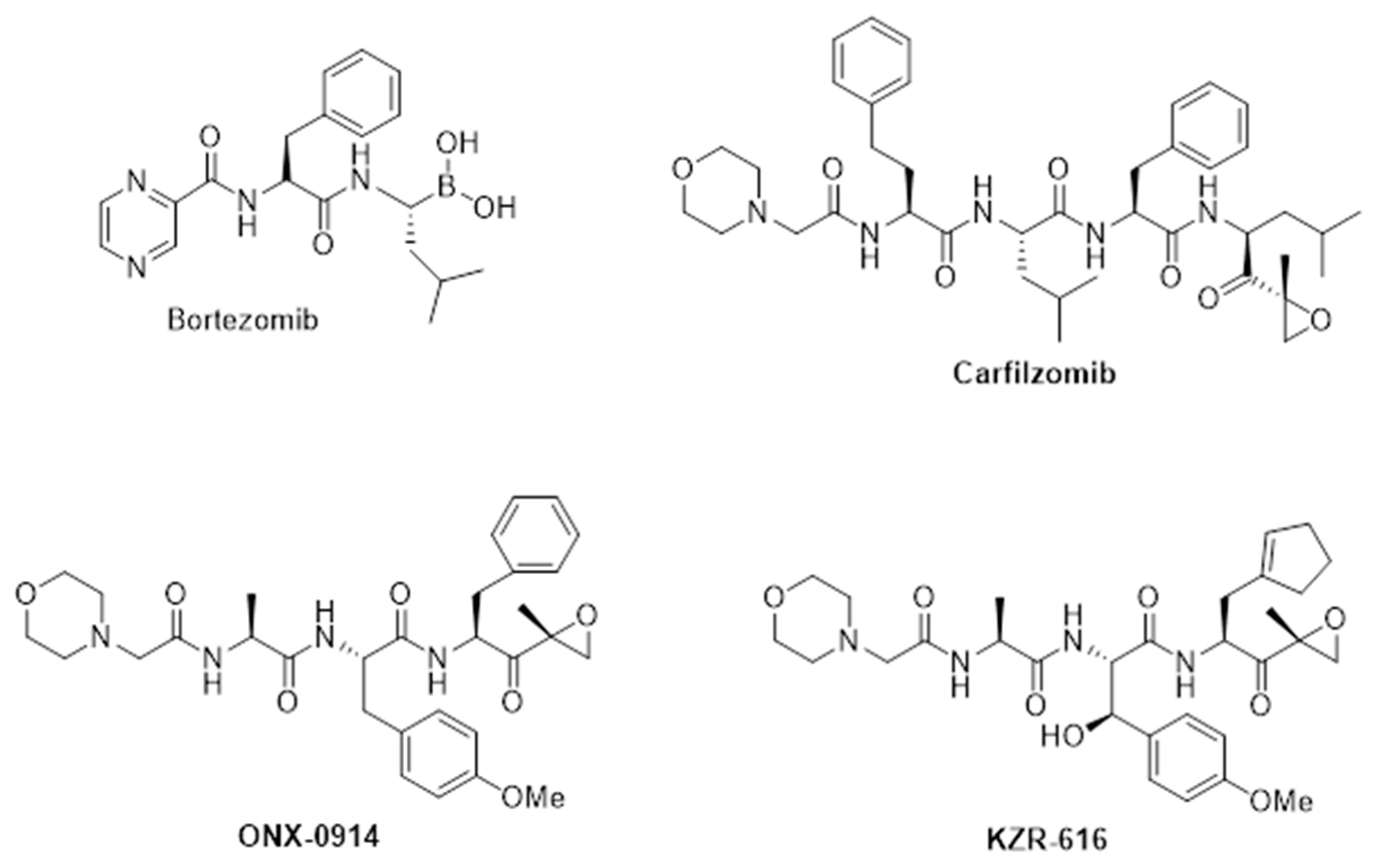 Cells 11 00009 g001 Cells 11 00009 g001