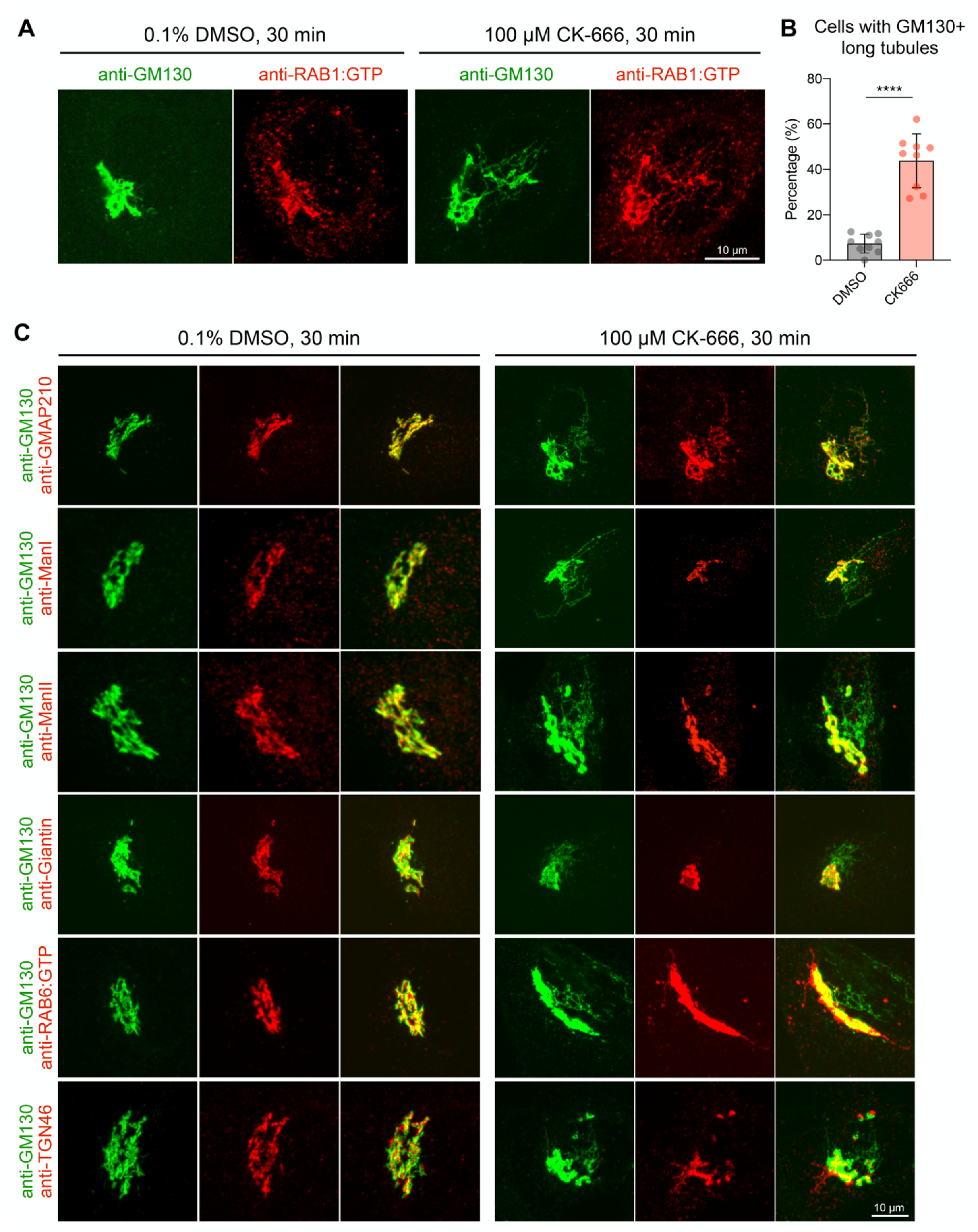Cells 11 00015 g001 Cells 11 00015 g001