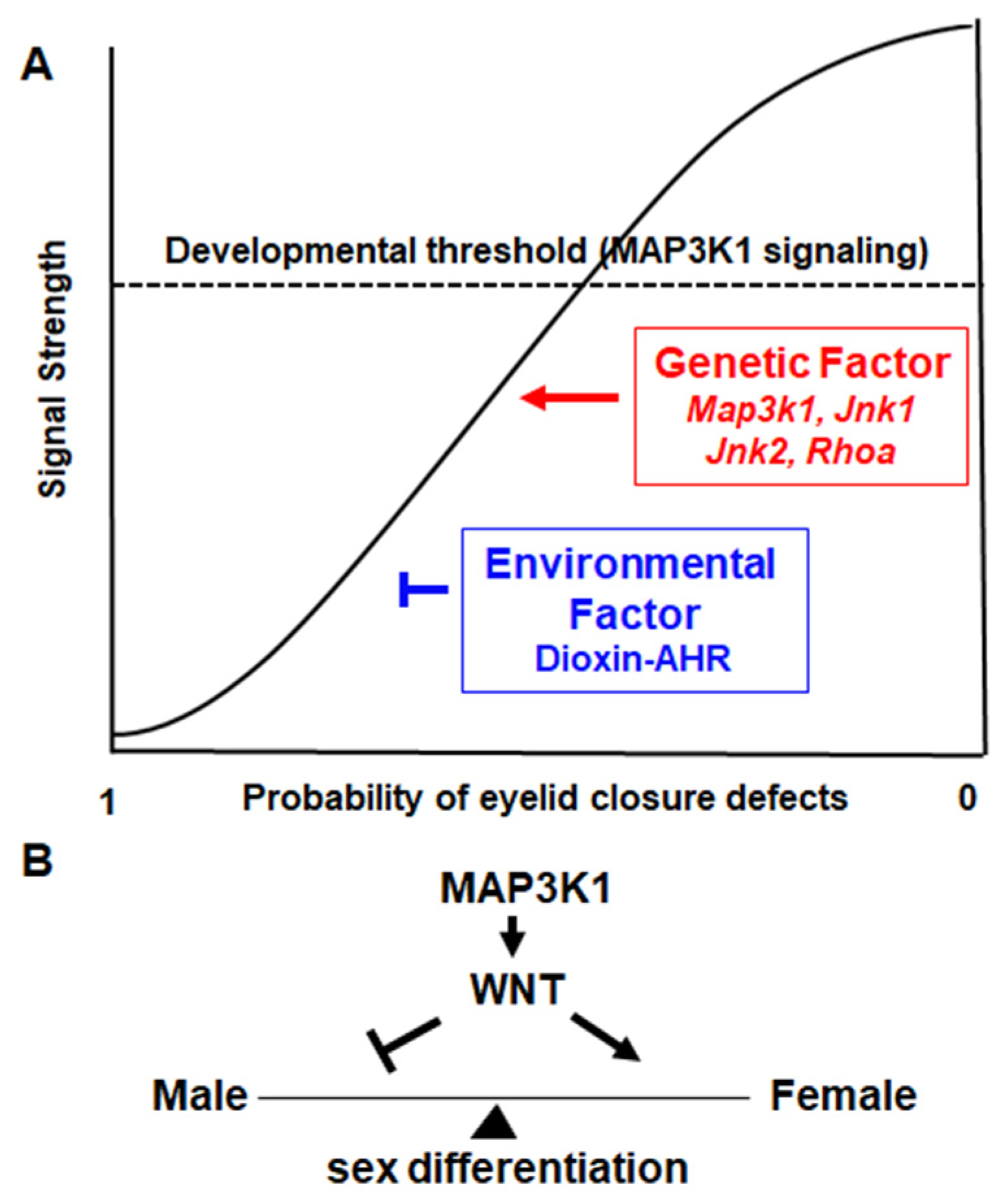Cells 11 00034 g003 Cells 11 00034 g003
