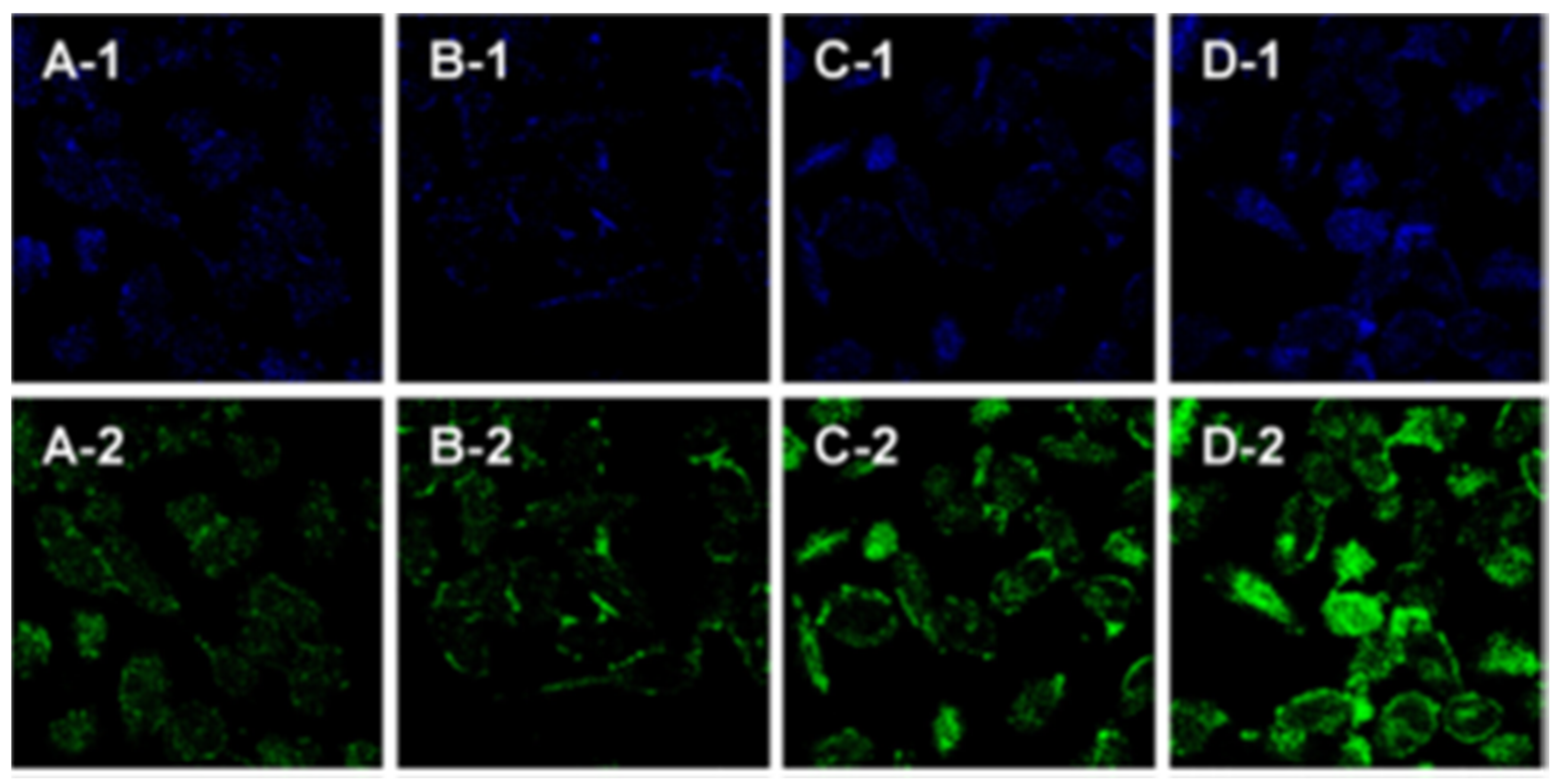 Cells 11 00035 g004