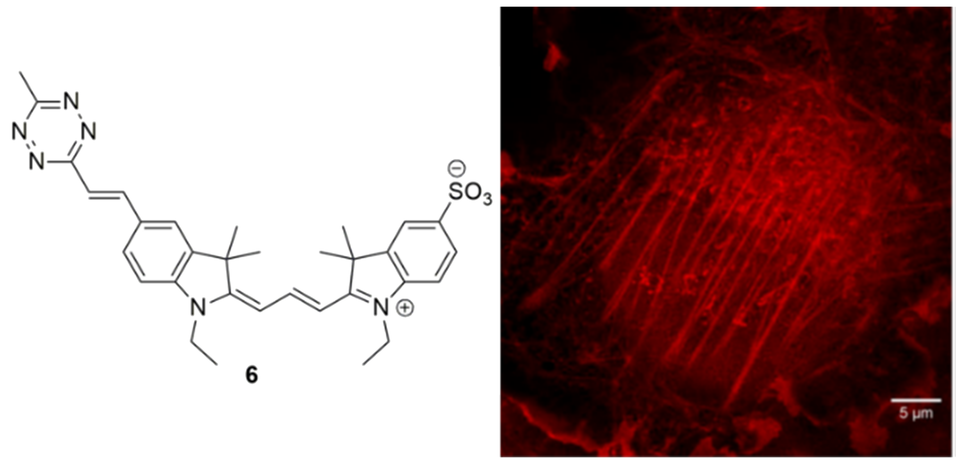 Cells 11 00035 g012