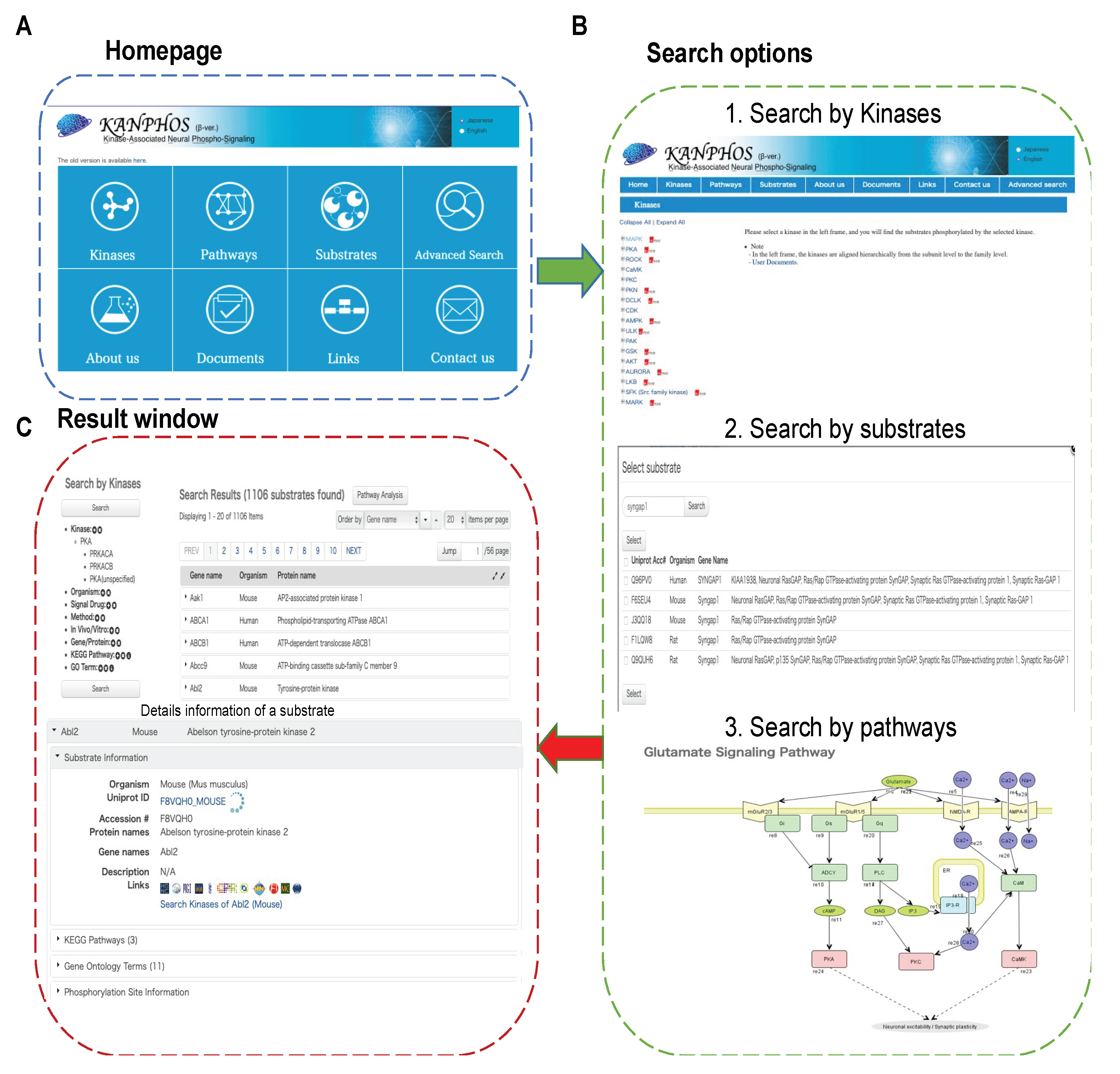 Cells 11 00047 g003 Cells 11 00047 g003
