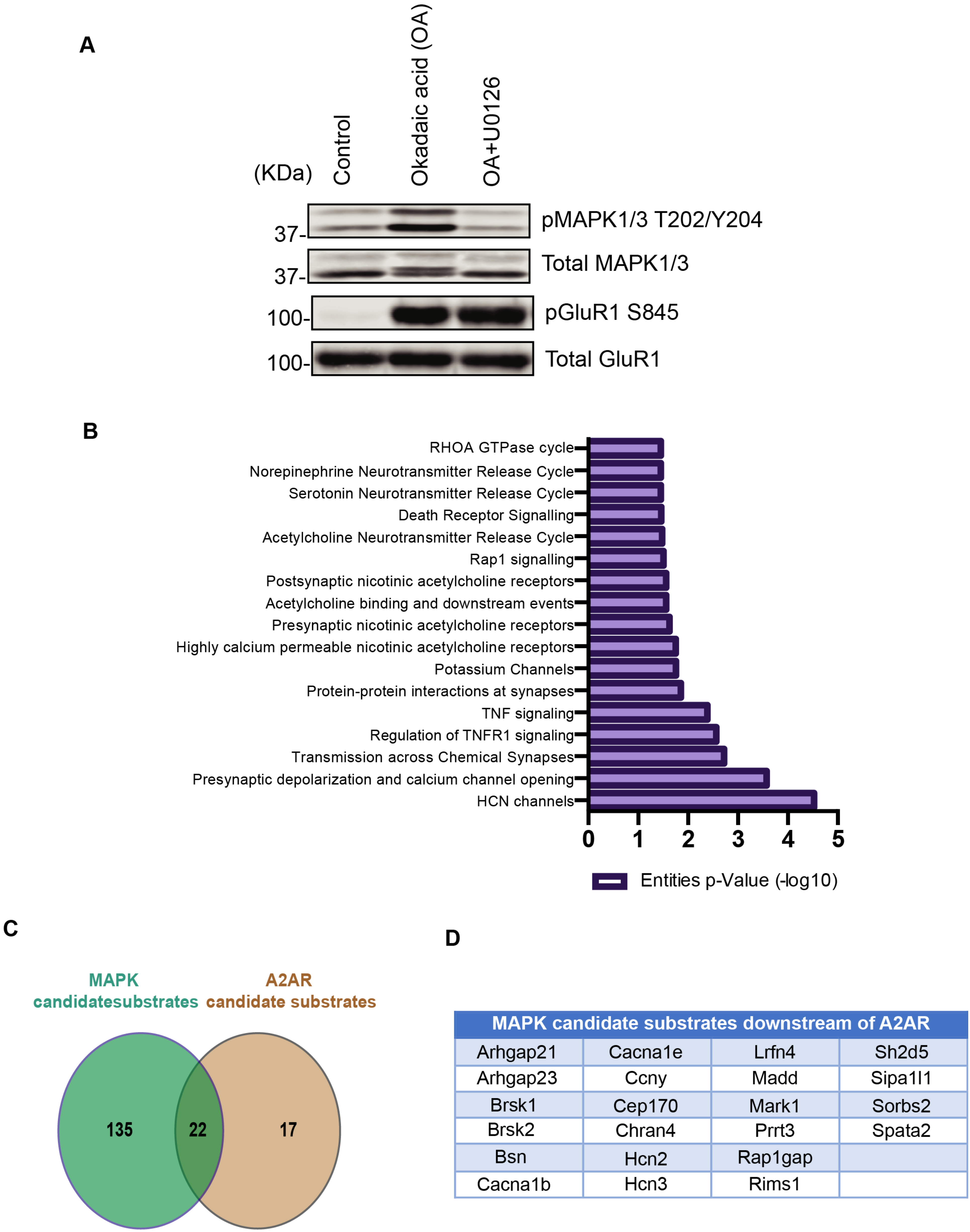 Cells 11 00047 g005 Cells 11 00047 g005