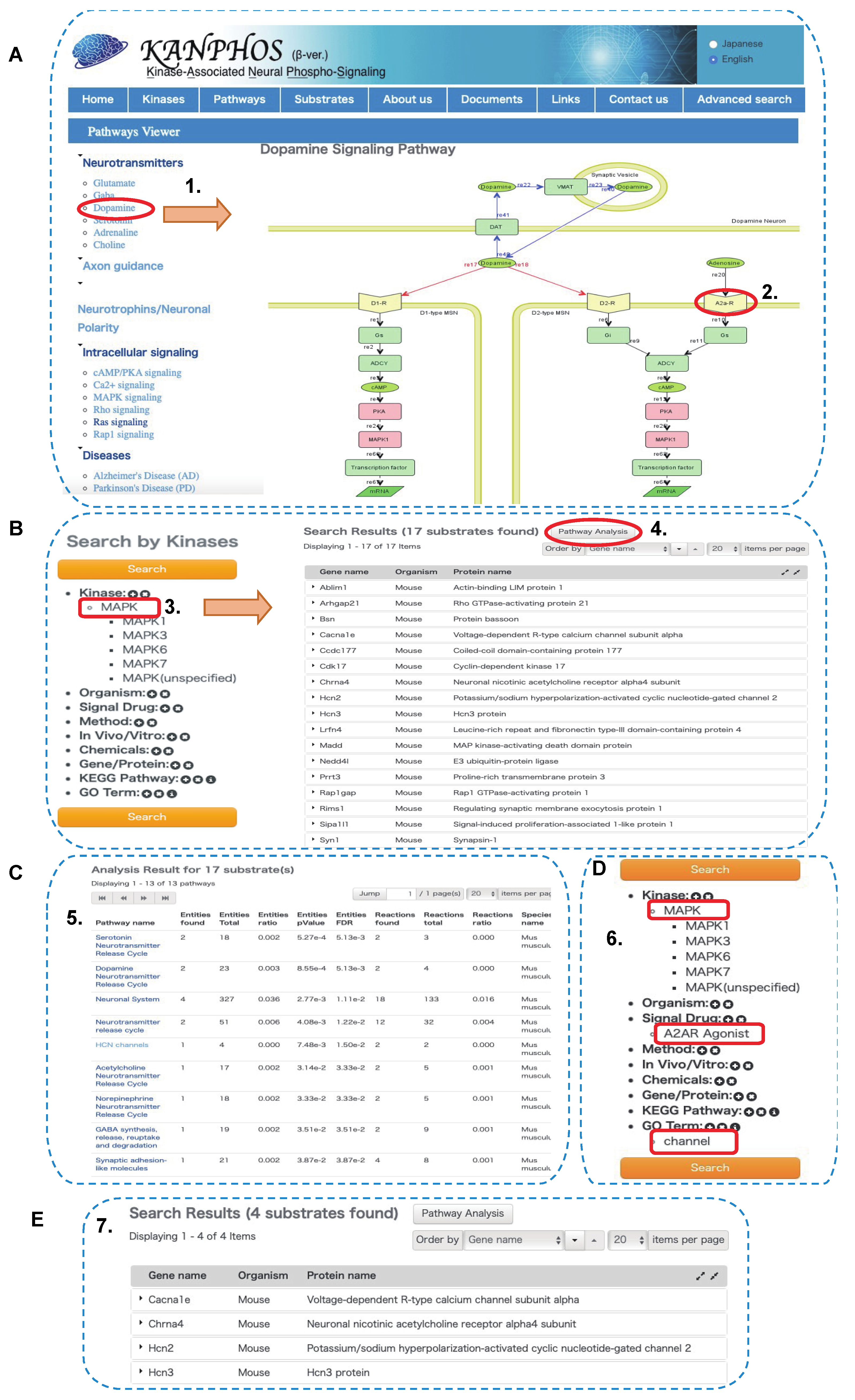 Cells 11 00047 g007 Cells 11 00047 g007