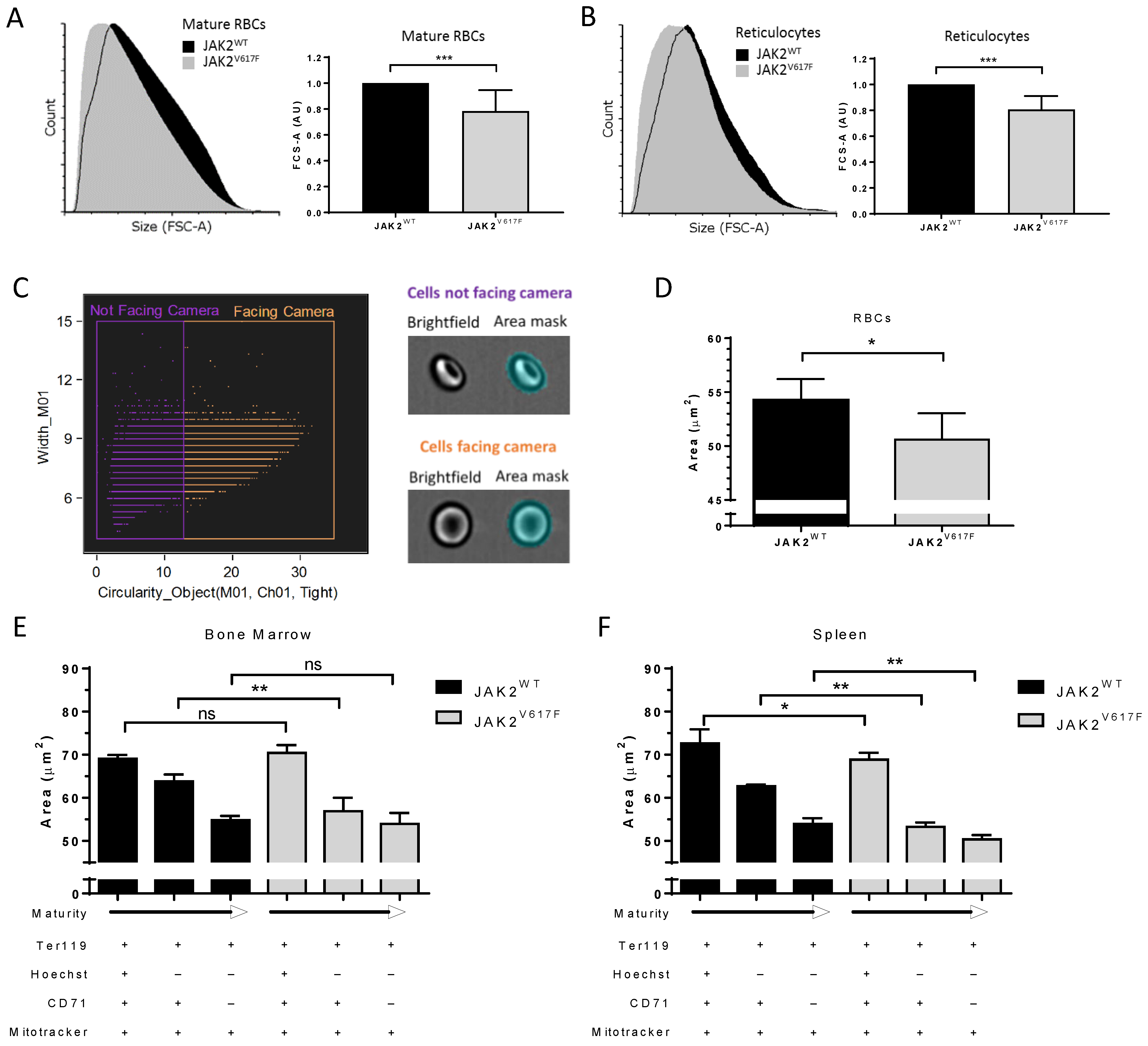 Cells 11 00049 g003 Cells 11 00049 g003