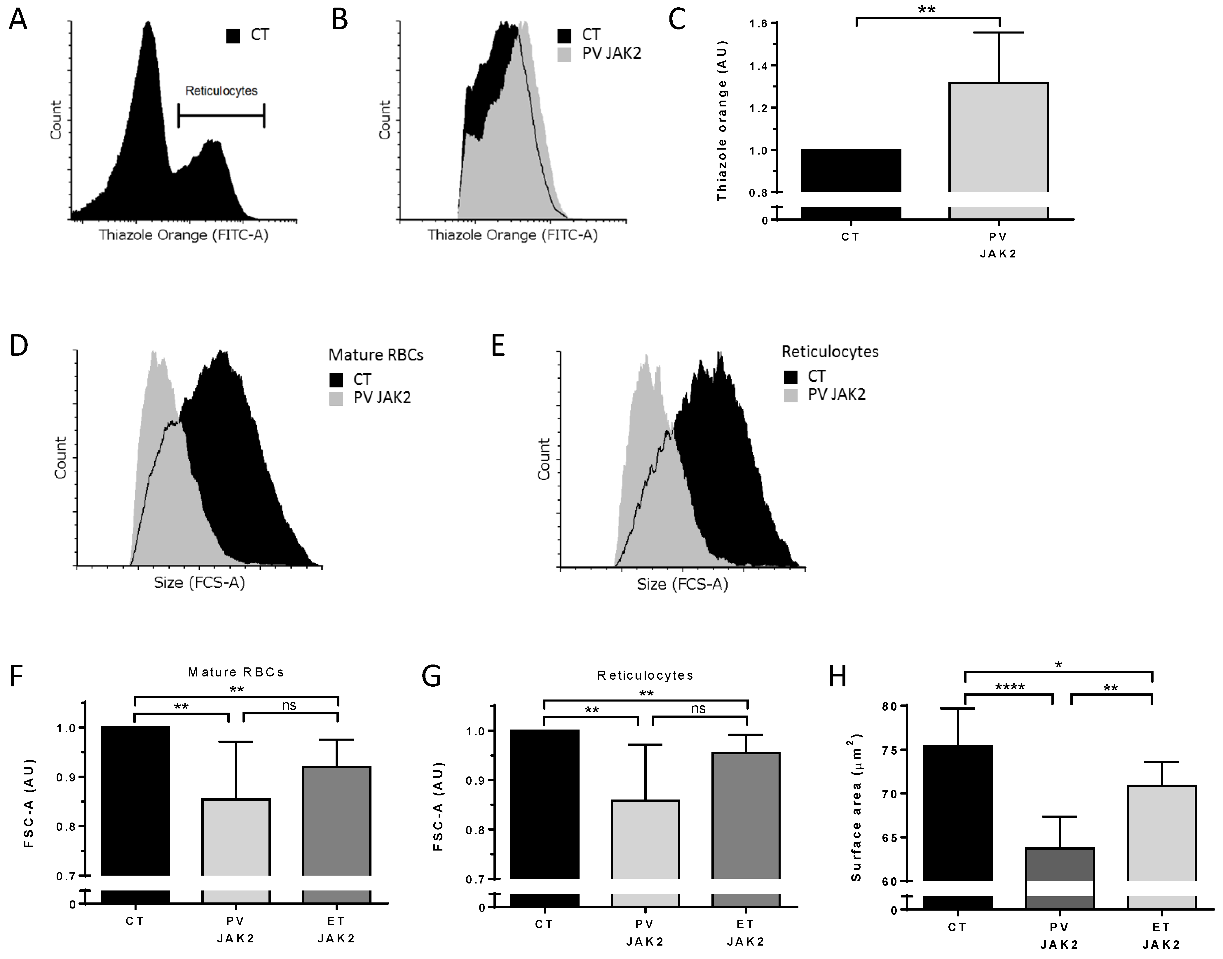 Cells 11 00049 g007 Cells 11 00049 g007