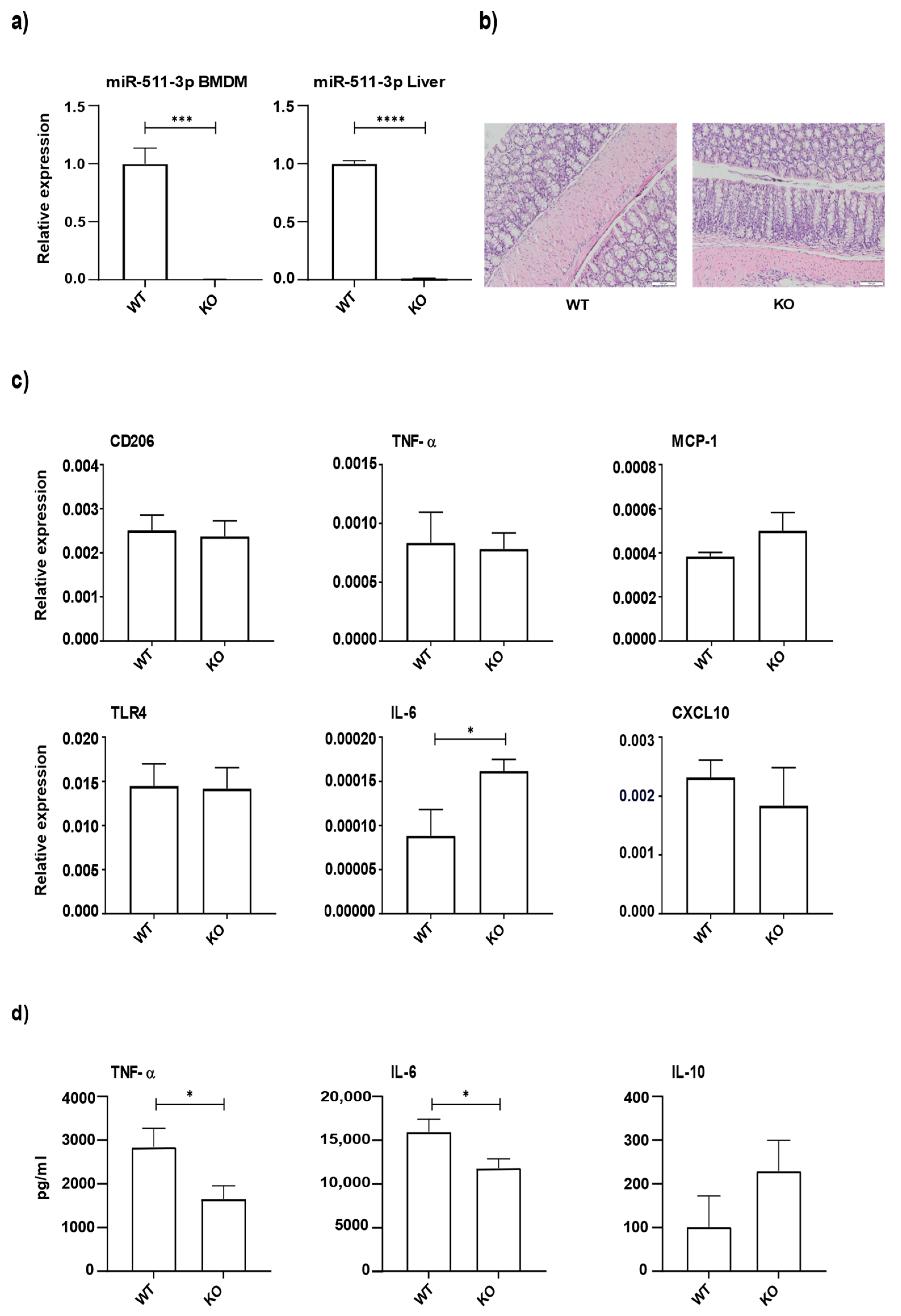 Cells 11 00058 g001 Cells 11 00058 g001