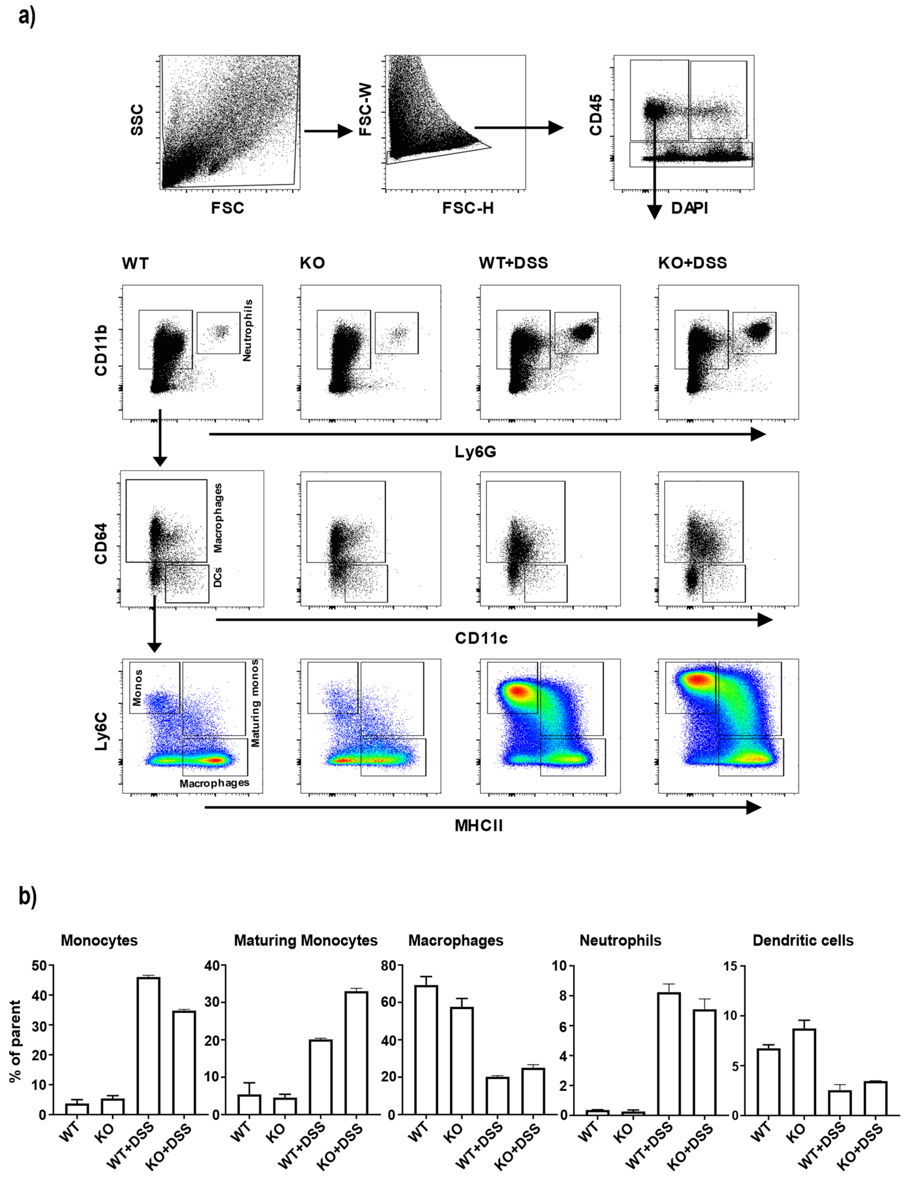 Cells 11 00058 g003 Cells 11 00058 g003