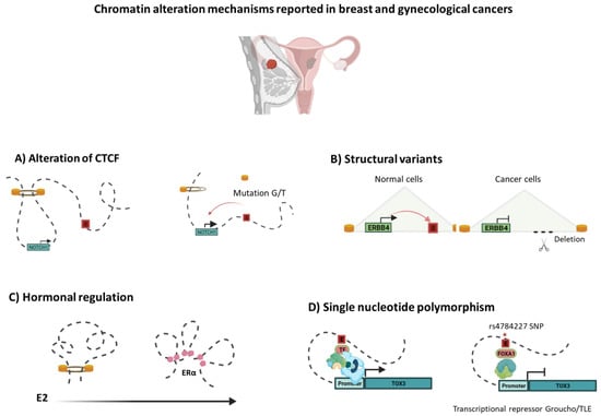 Cells 11 00075 g003 550