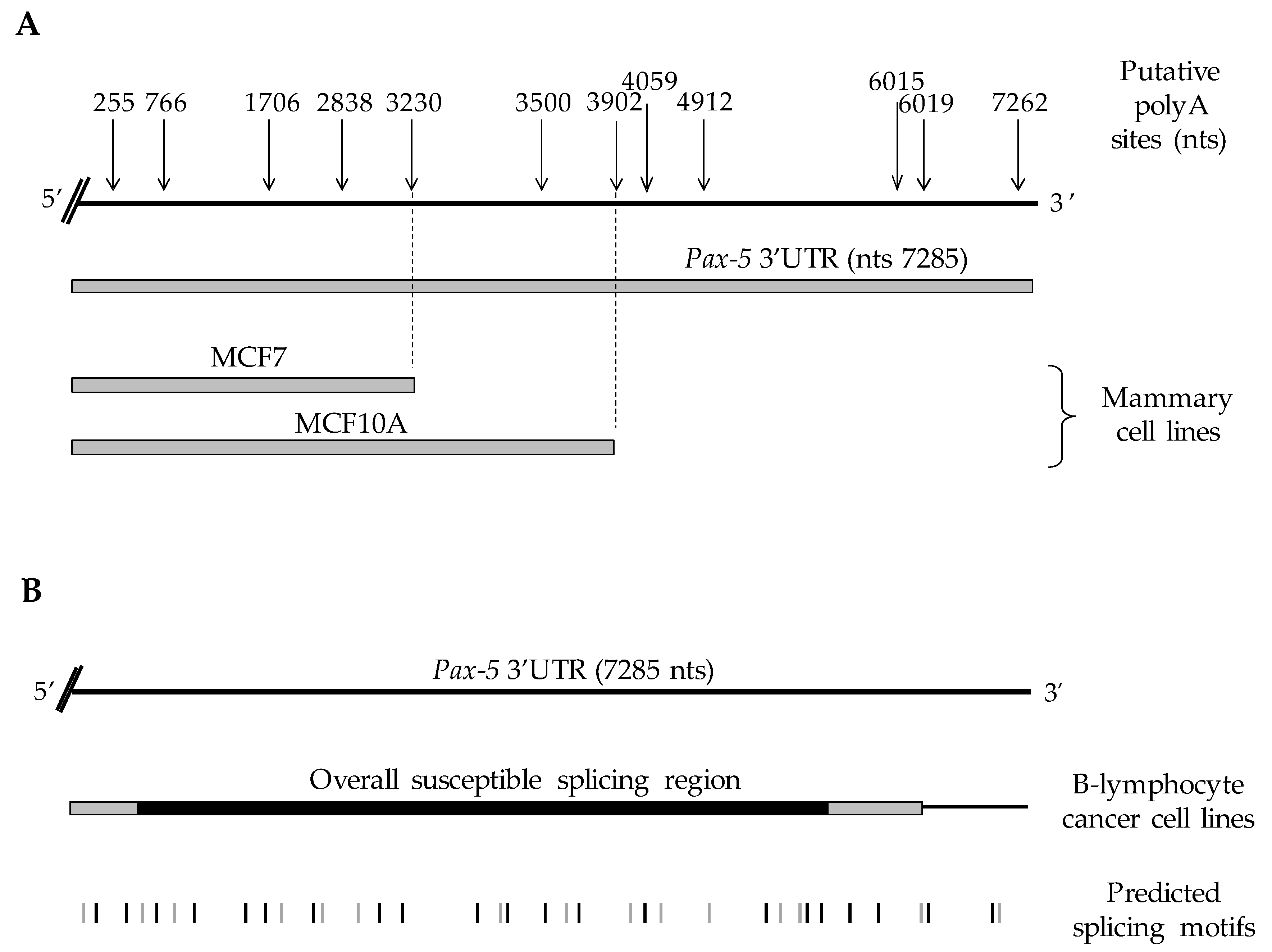 Cells 11 00076 g001 Cells 11 00076 g001