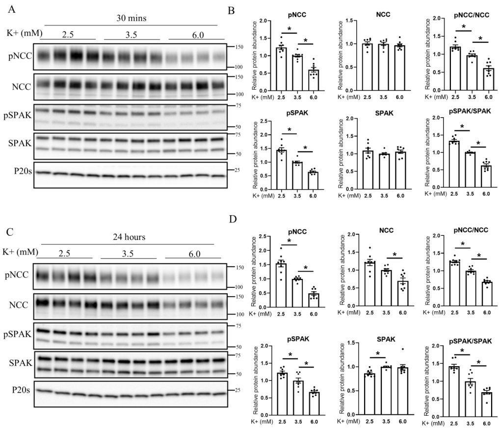 Cells 11 00095 g004 Cells 11 00095 g004