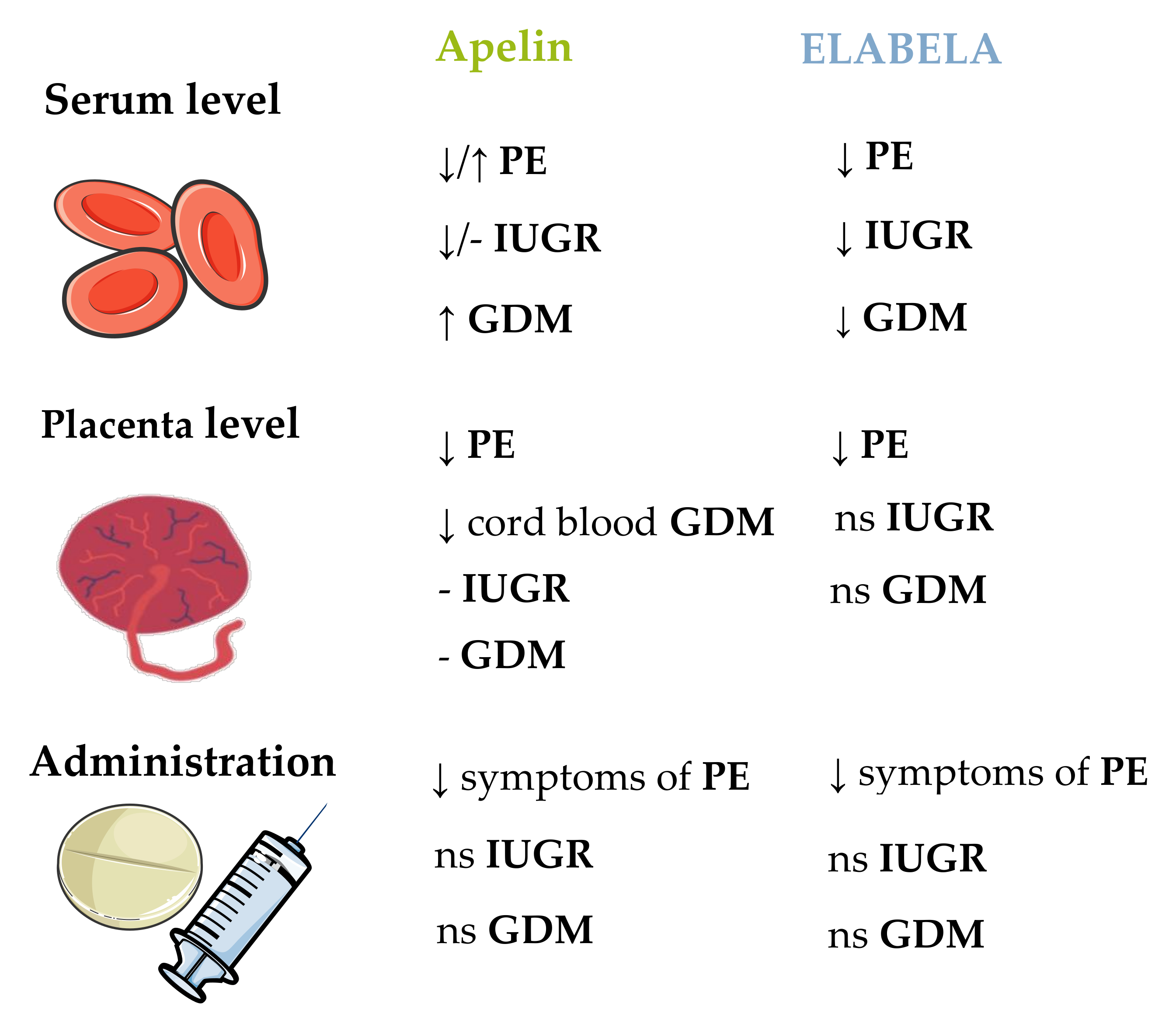 Cells 11 00099 g006 Cells 11 00099 g006