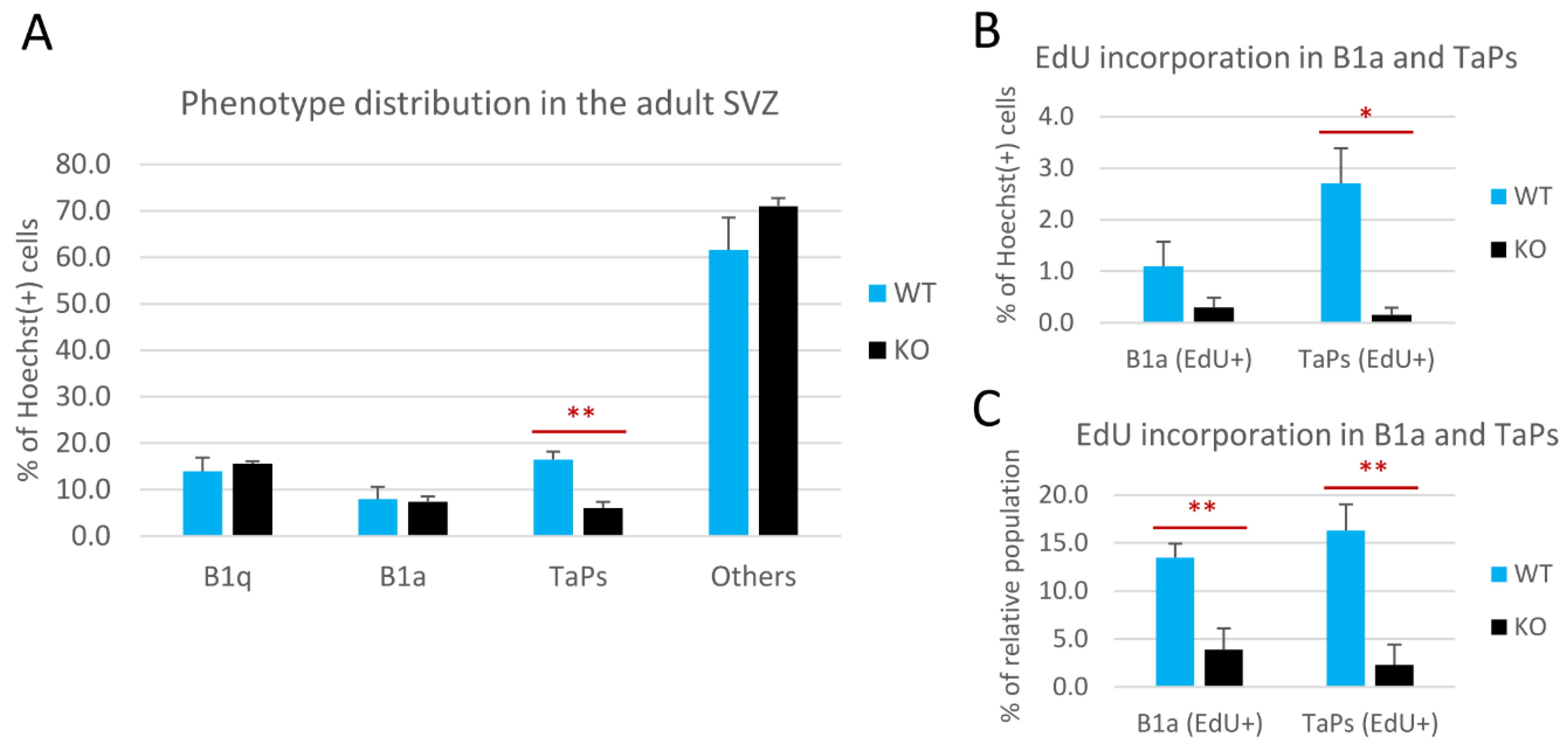 Cells 11 00135 g004 Cells 11 00135 g004