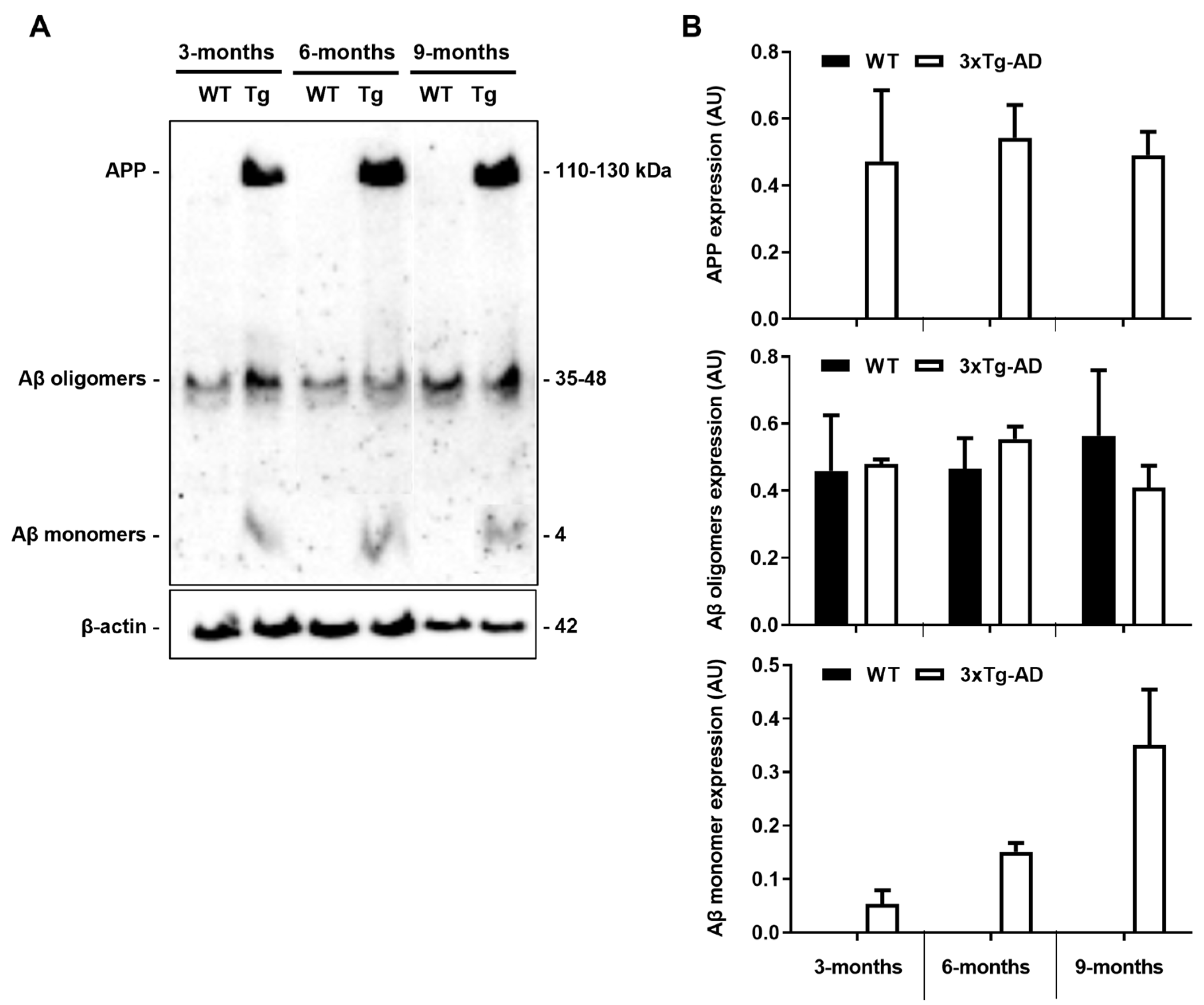 Cells 11 00137 g002 Cells 11 00137 g002