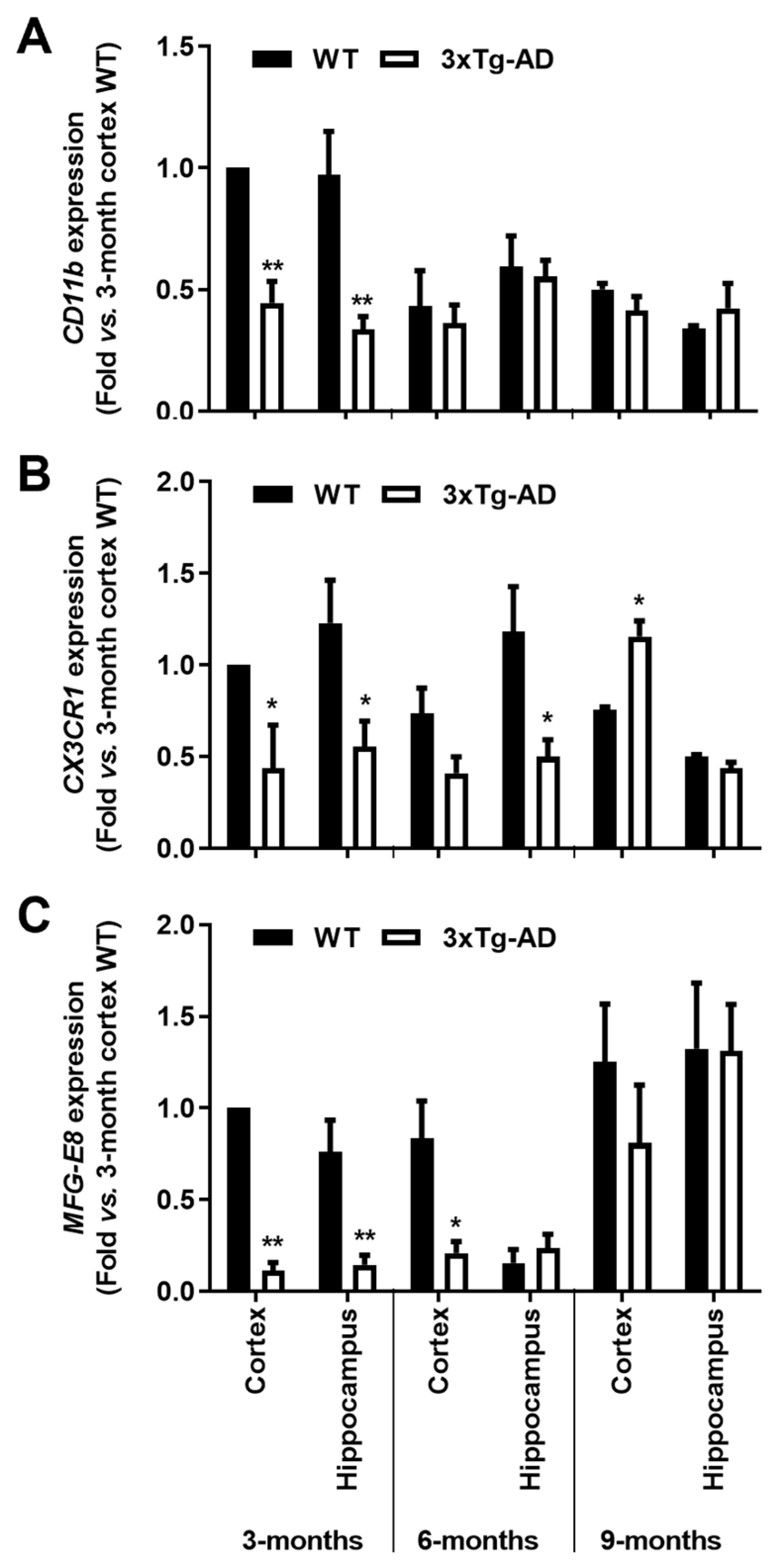Cells 11 00137 g003 Cells 11 00137 g003