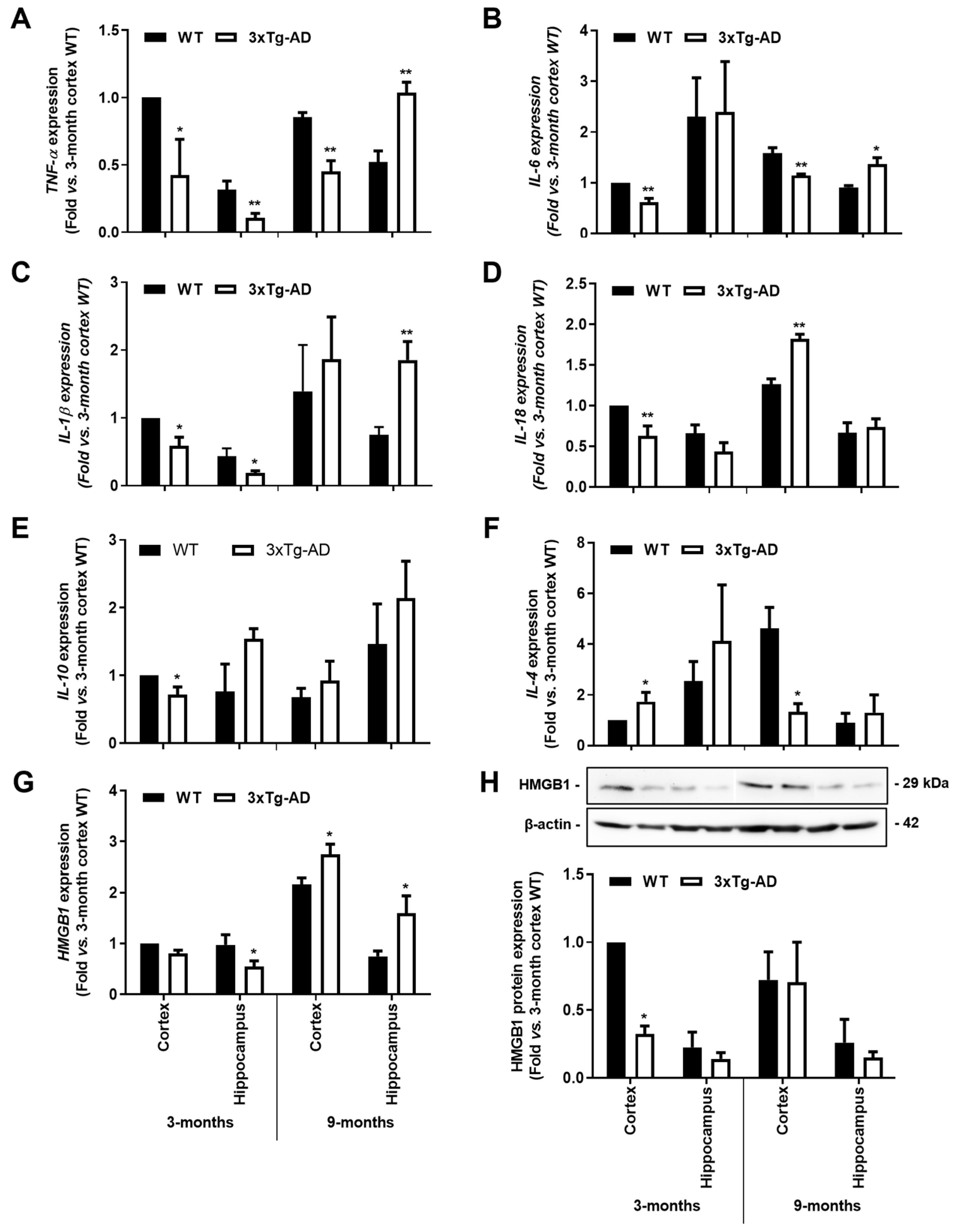 Cells 11 00137 g004 Cells 11 00137 g004