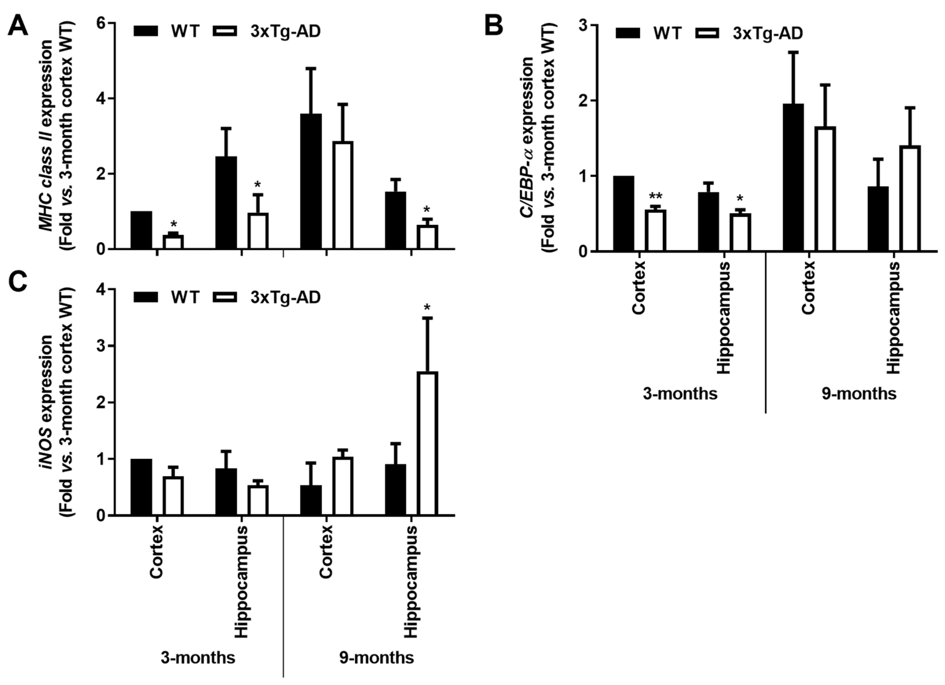 Cells 11 00137 g005 Cells 11 00137 g005