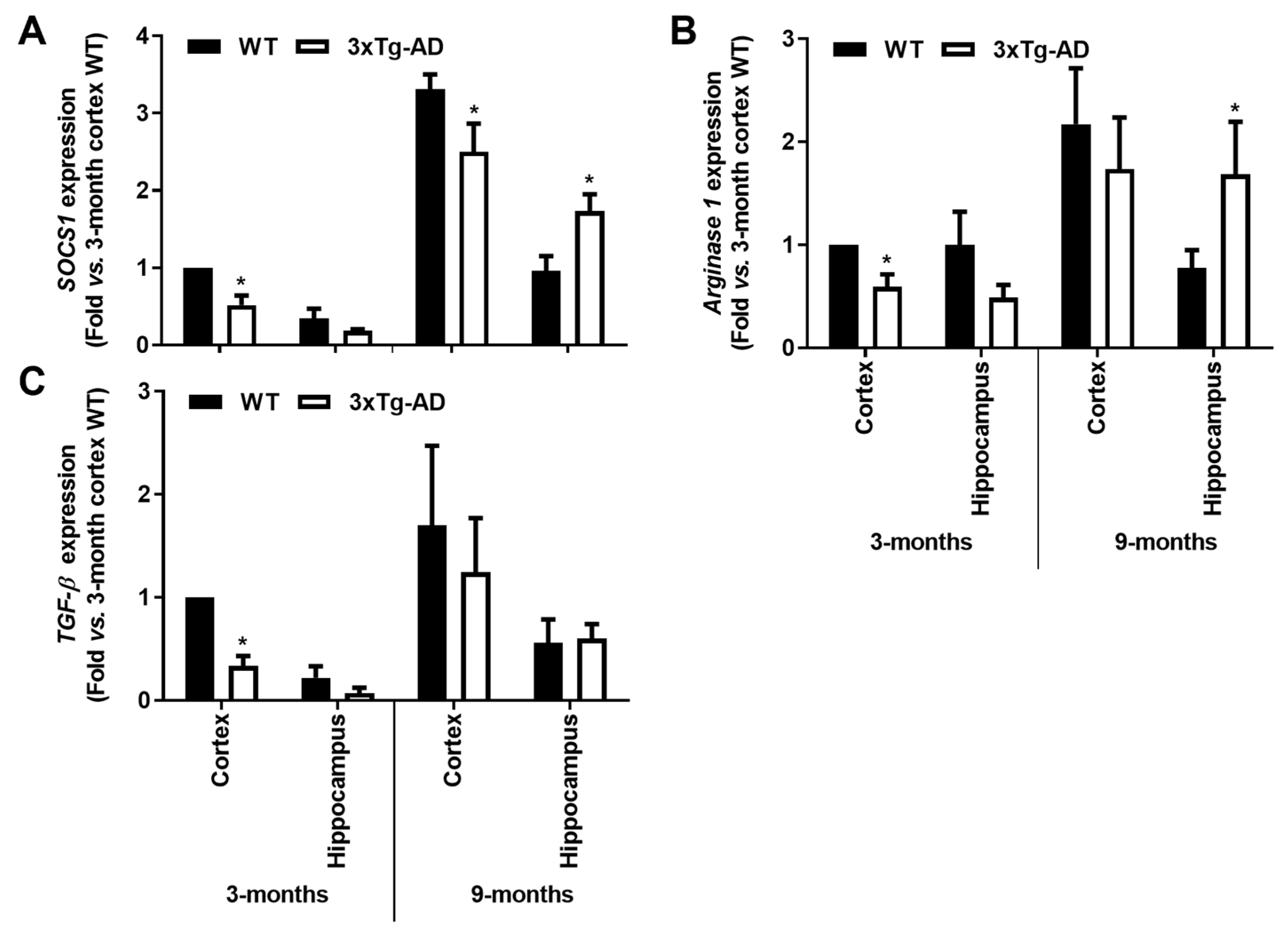 Cells 11 00137 g006 Cells 11 00137 g006
