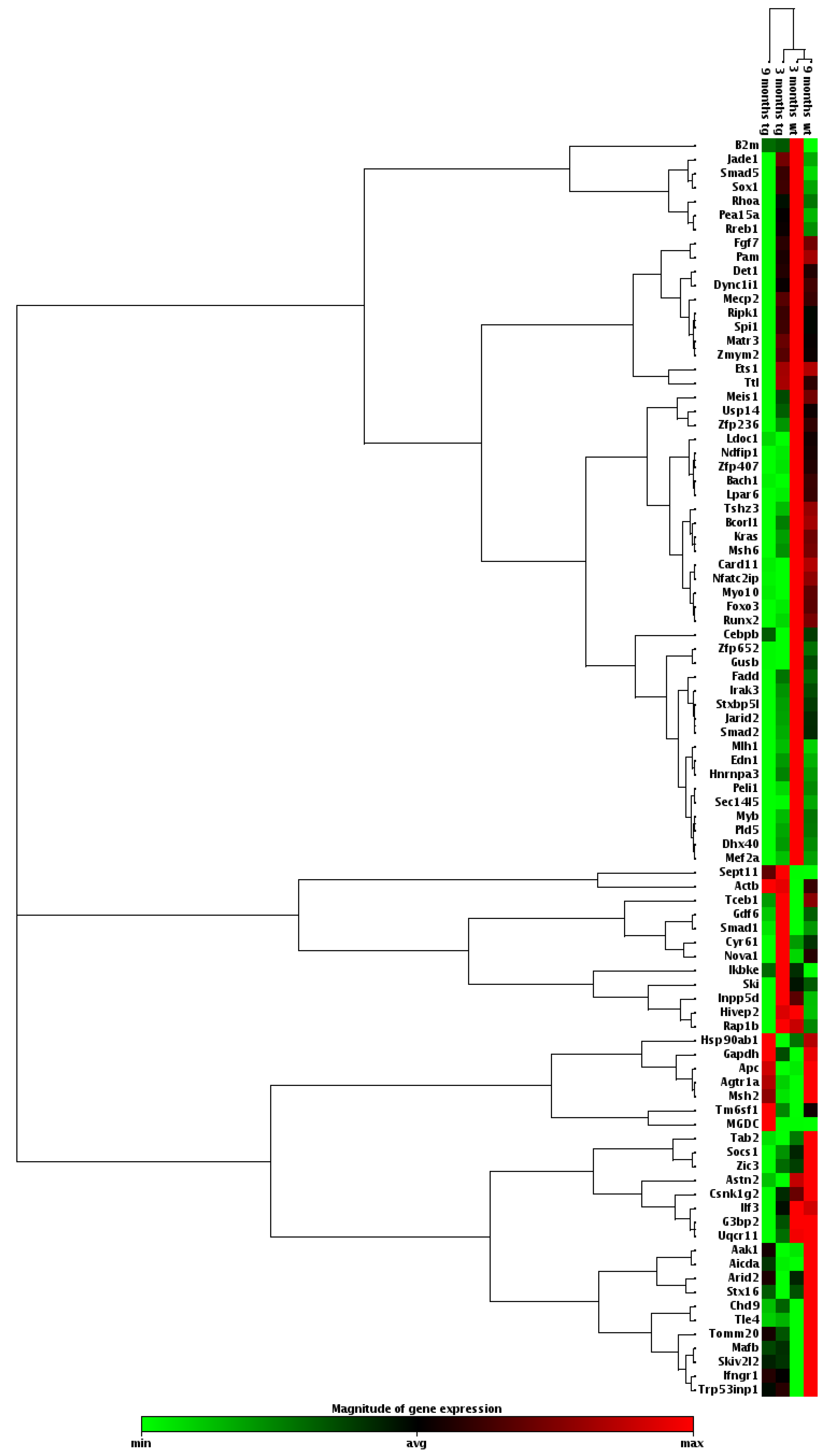 Cells 11 00137 g008 Cells 11 00137 g008