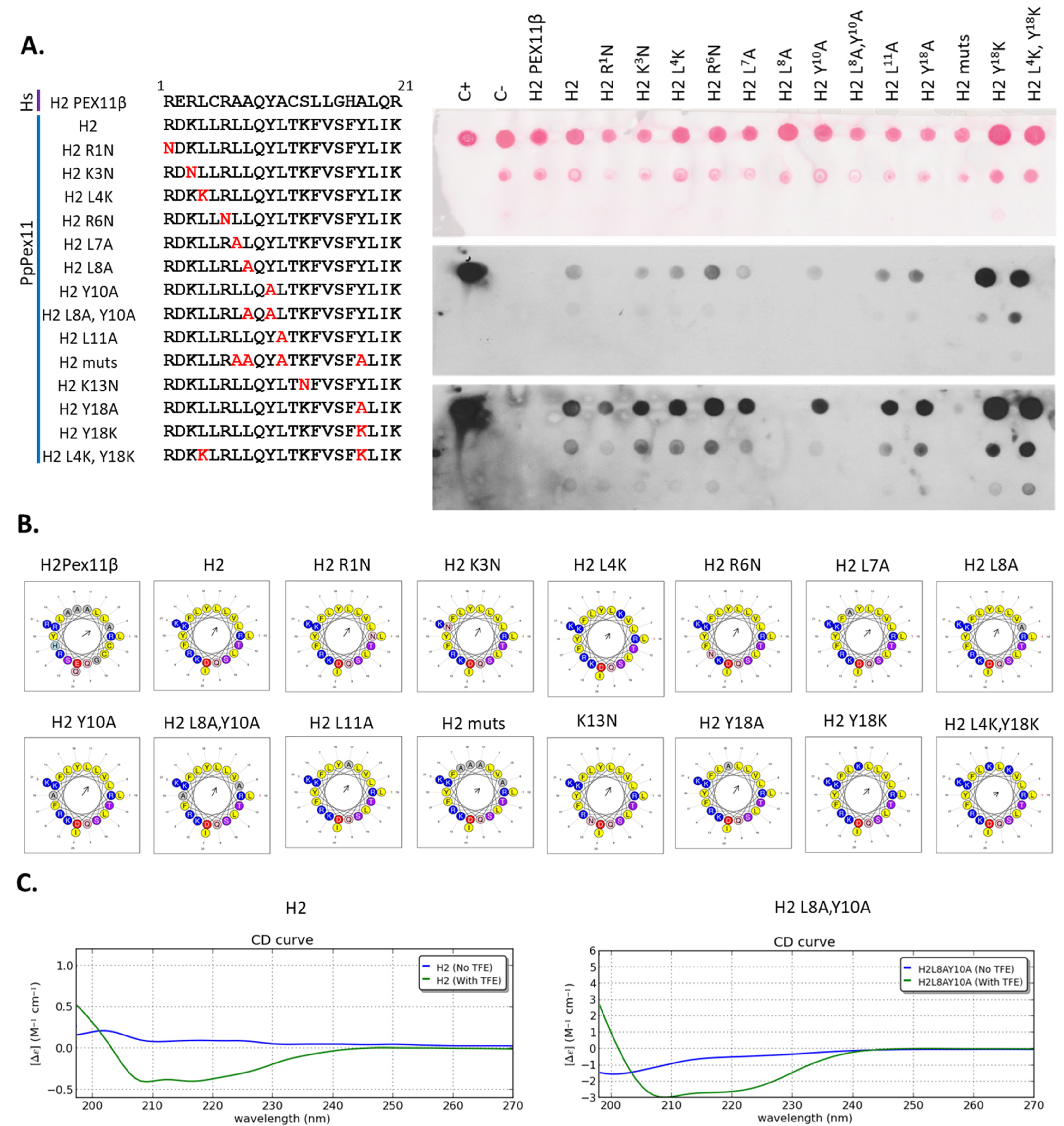 Cells 11 00157 g003 Cells 11 00157 g003