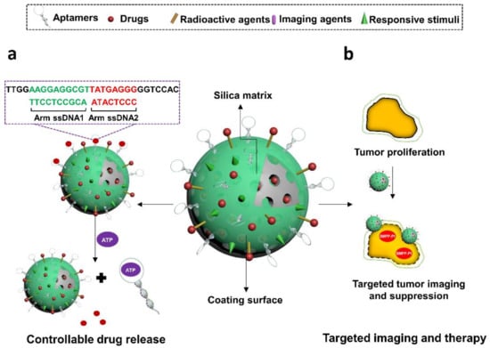 Cells 11 00159 g010 550