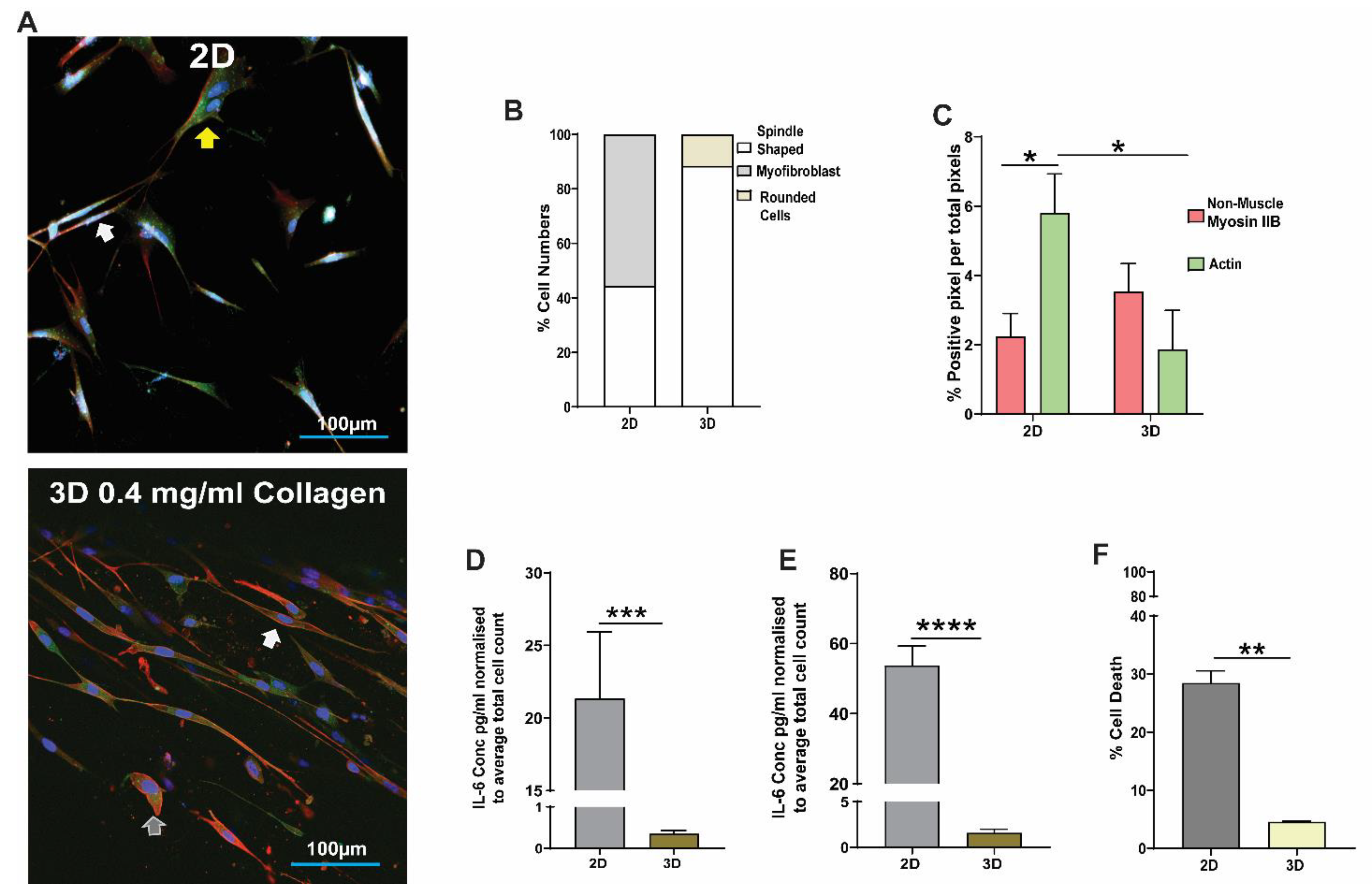 Cells 11 00185 g002