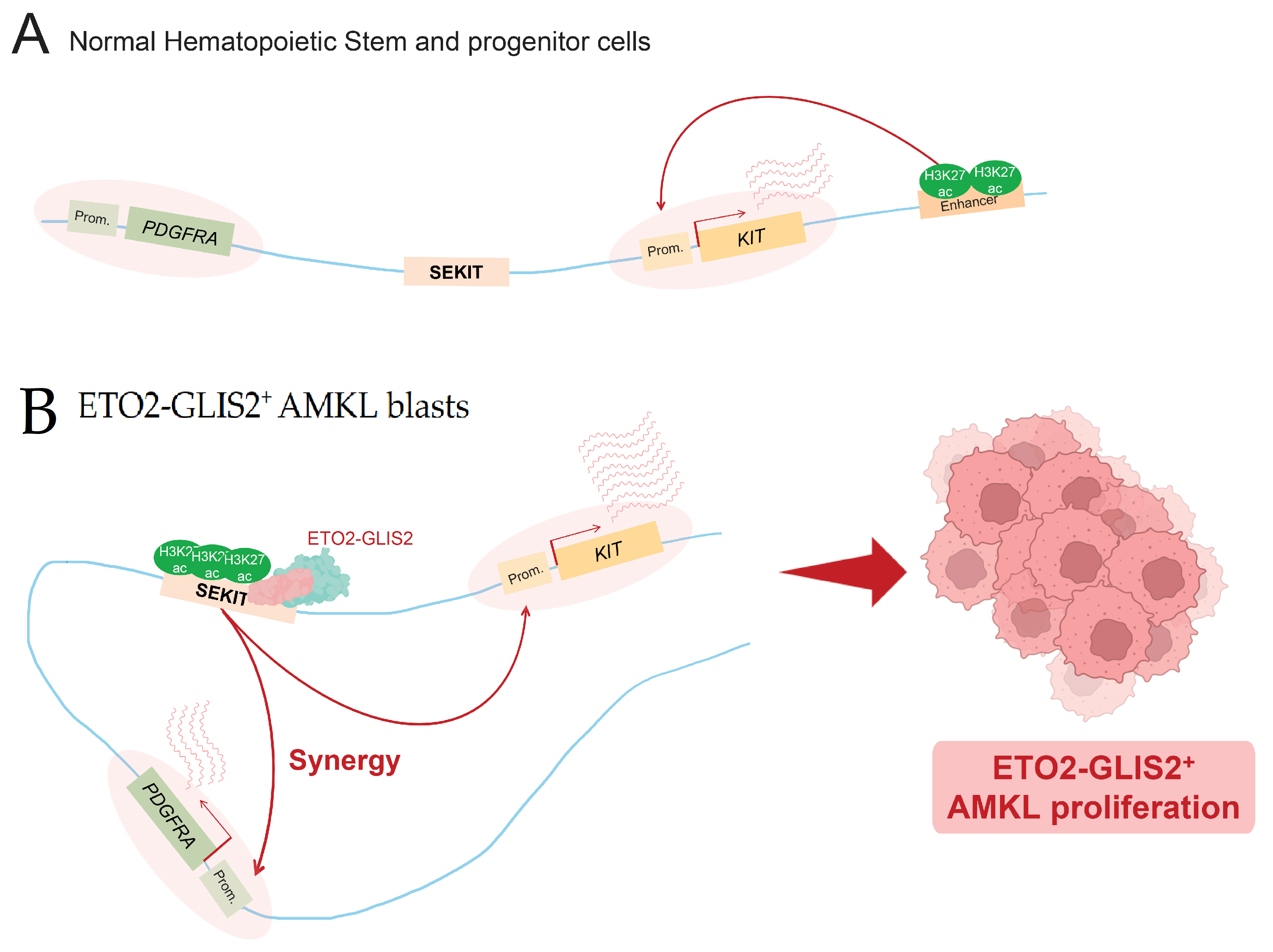 Cells 11 00196 g004 Cells 11 00196 g004