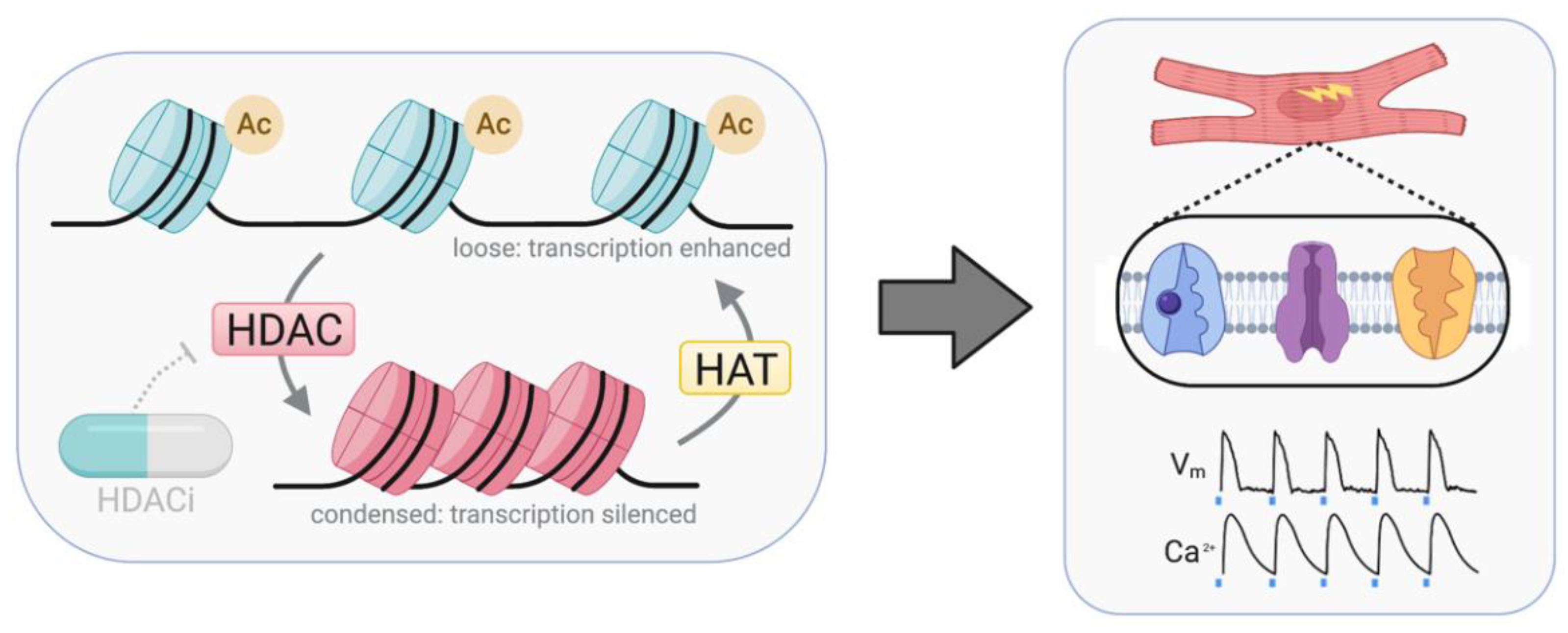 Cells 11 00200 g002 Cells 11 00200 g002