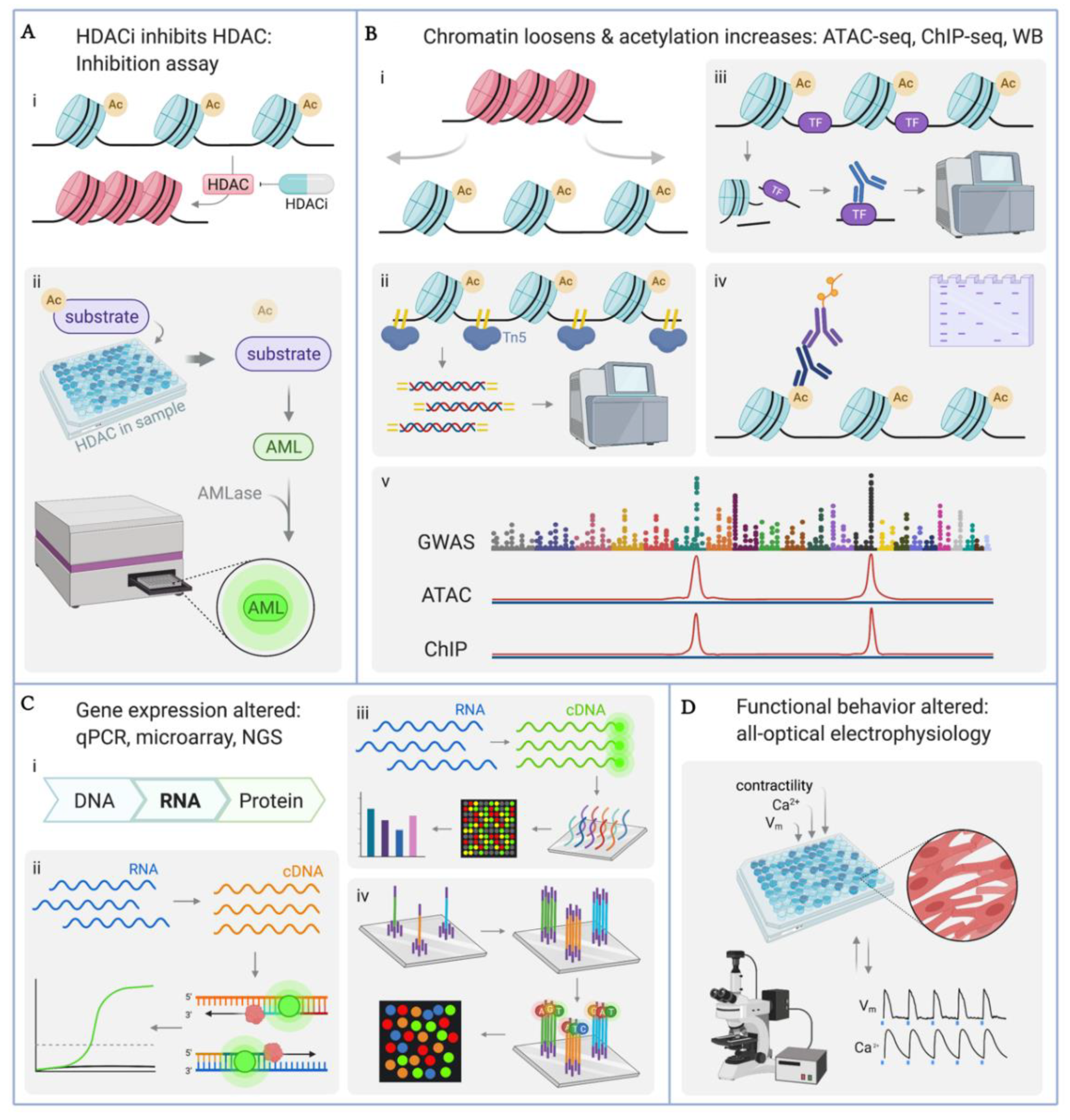 Cells 11 00200 g005 Cells 11 00200 g005