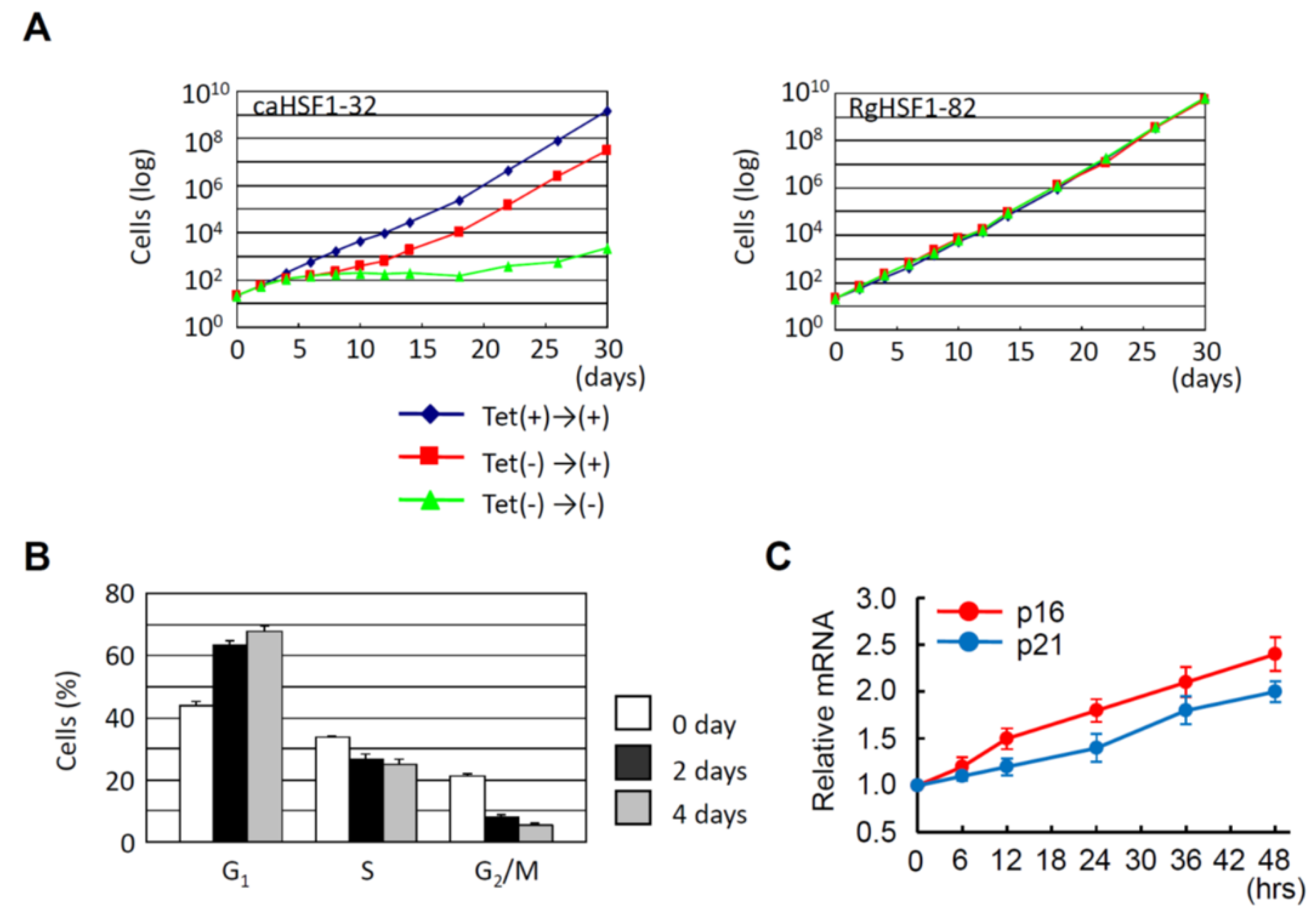 Cells 11 00203 g002 Cells 11 00203 g002
