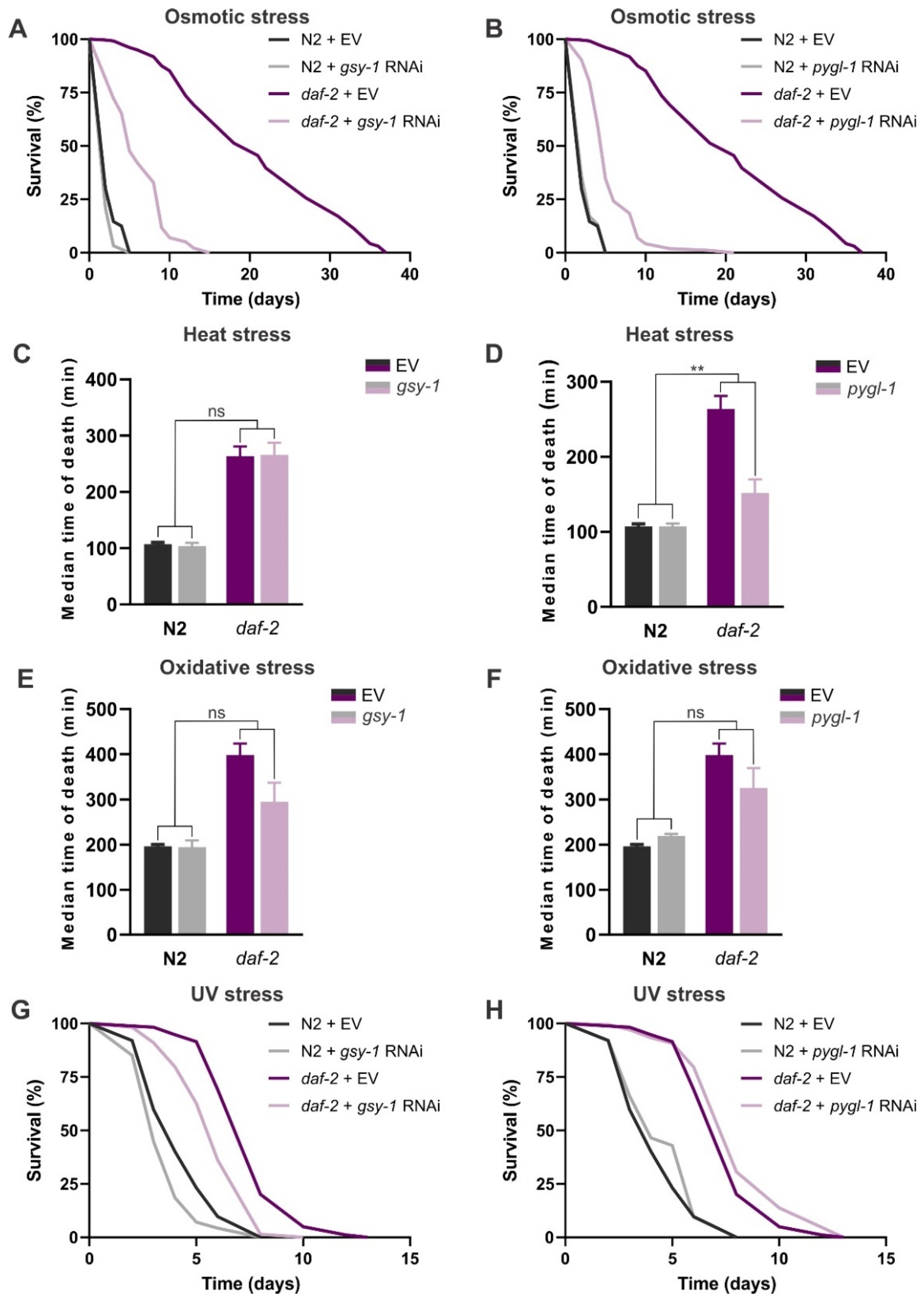 Cells 11 00245 g003 Cells 11 00245 g003