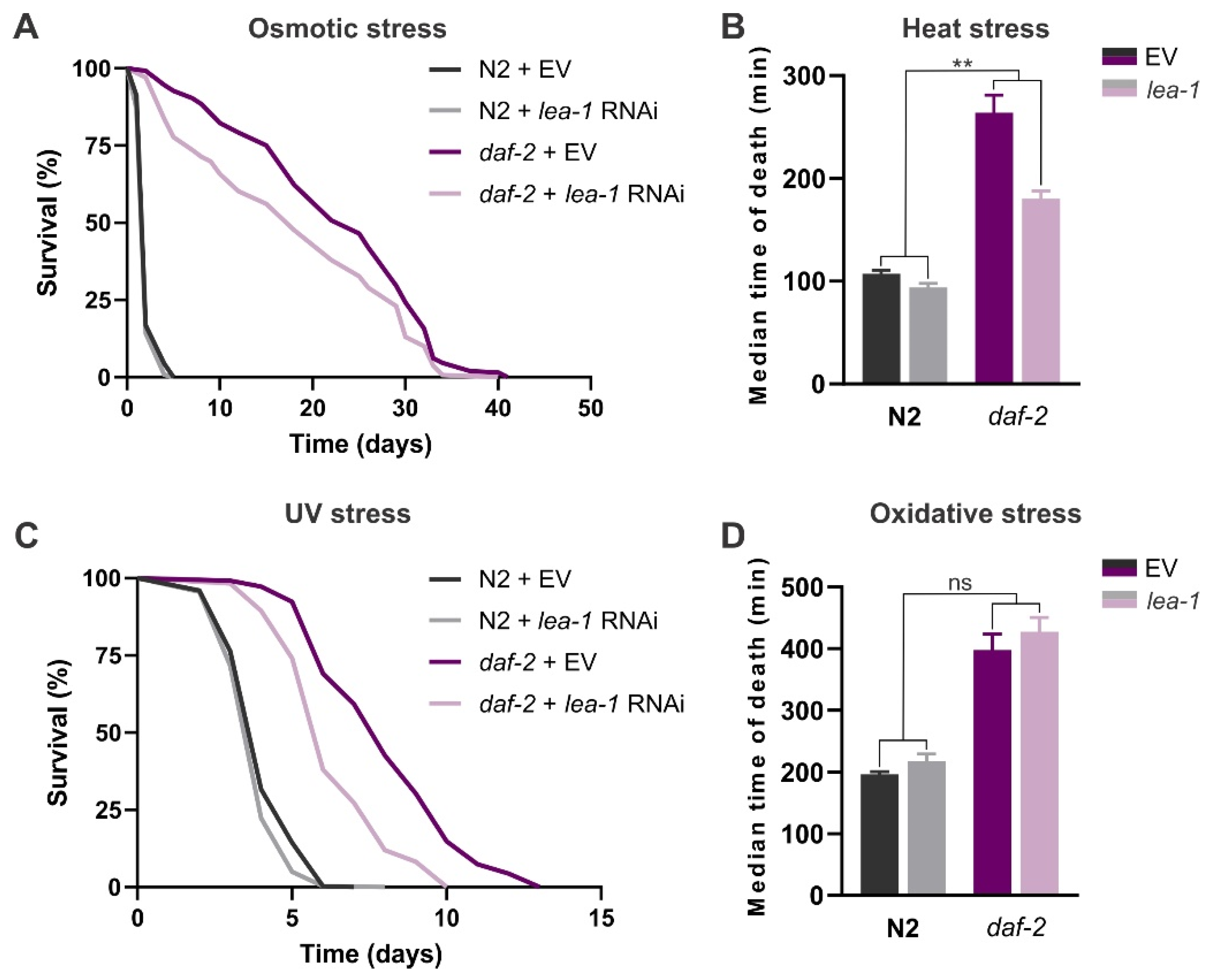Cells 11 00245 g006 Cells 11 00245 g006