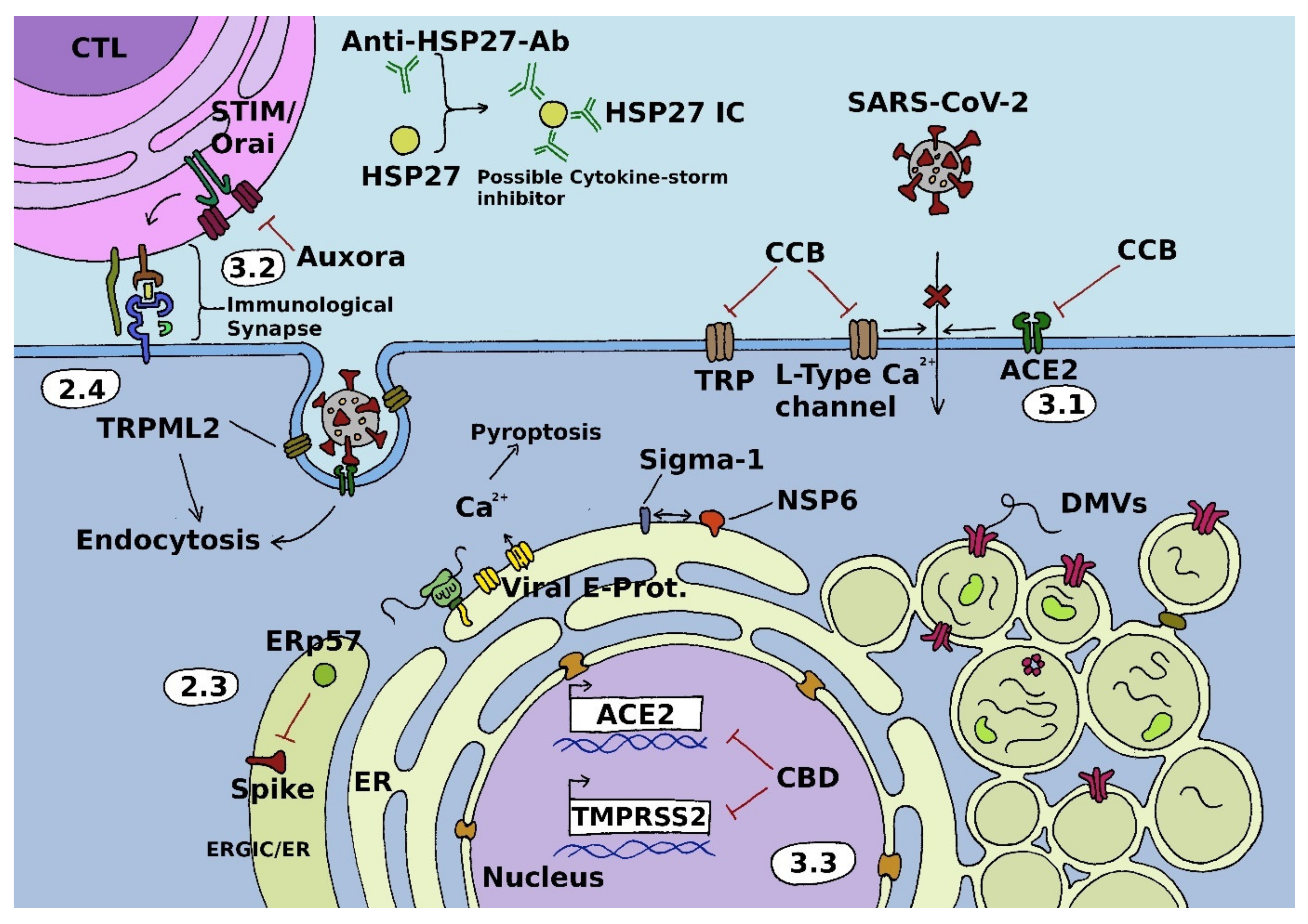 Cells 11 00253 g001 Cells 11 00253 g001