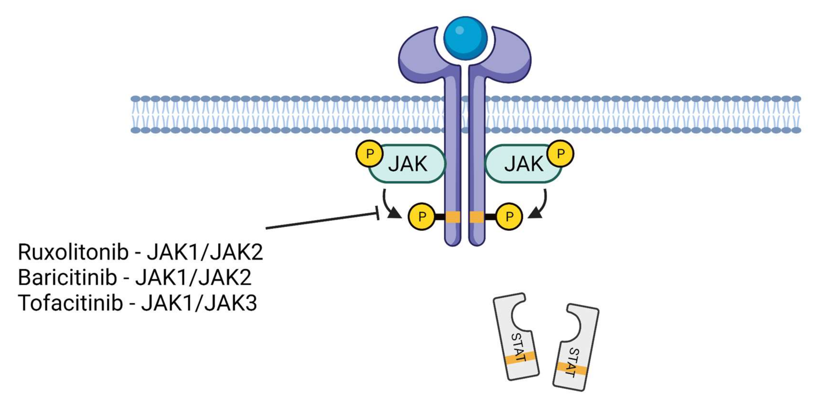 Cells 11 00306 g002