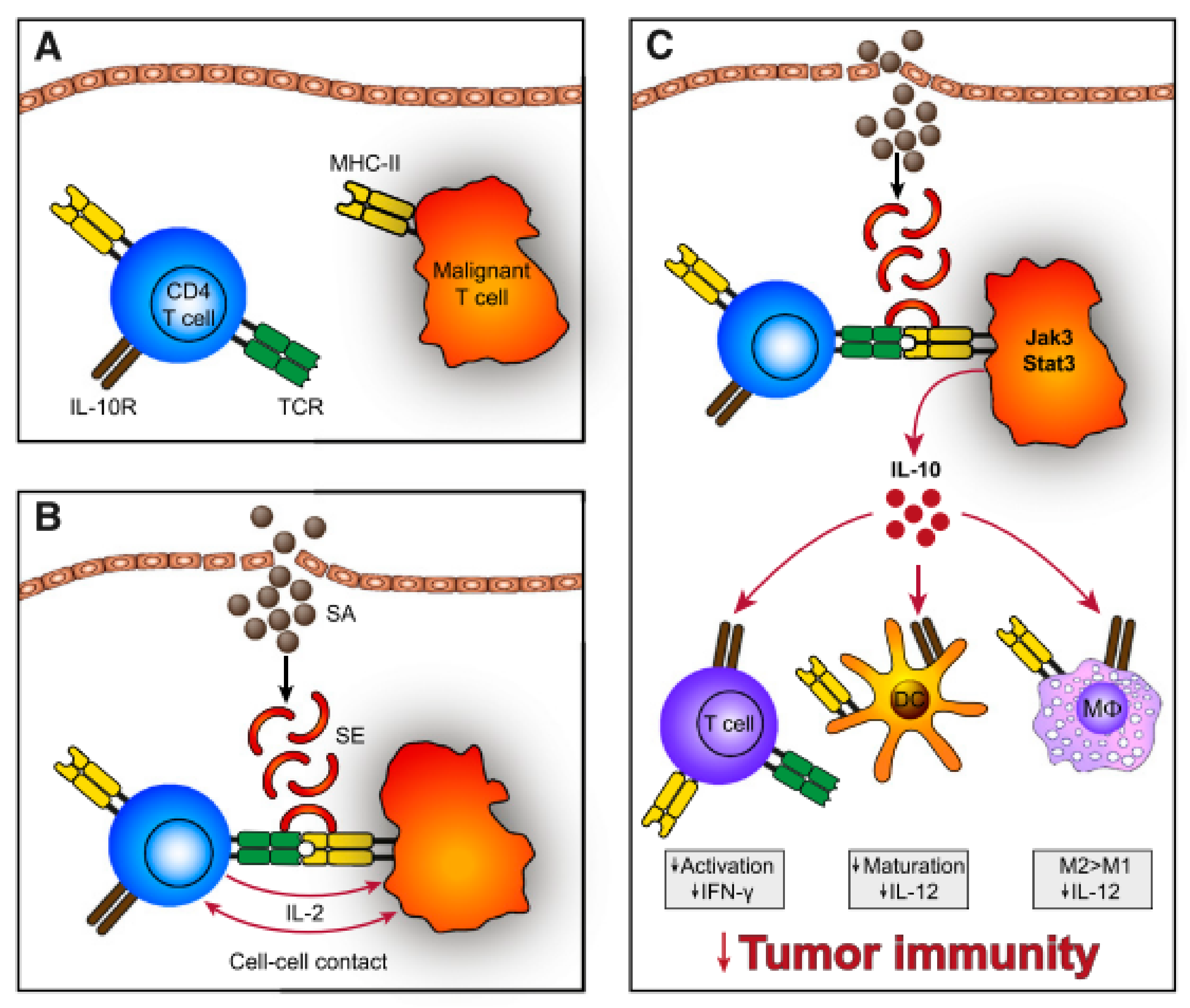 Cells 11 00328 g004 Cells 11 00328 g004