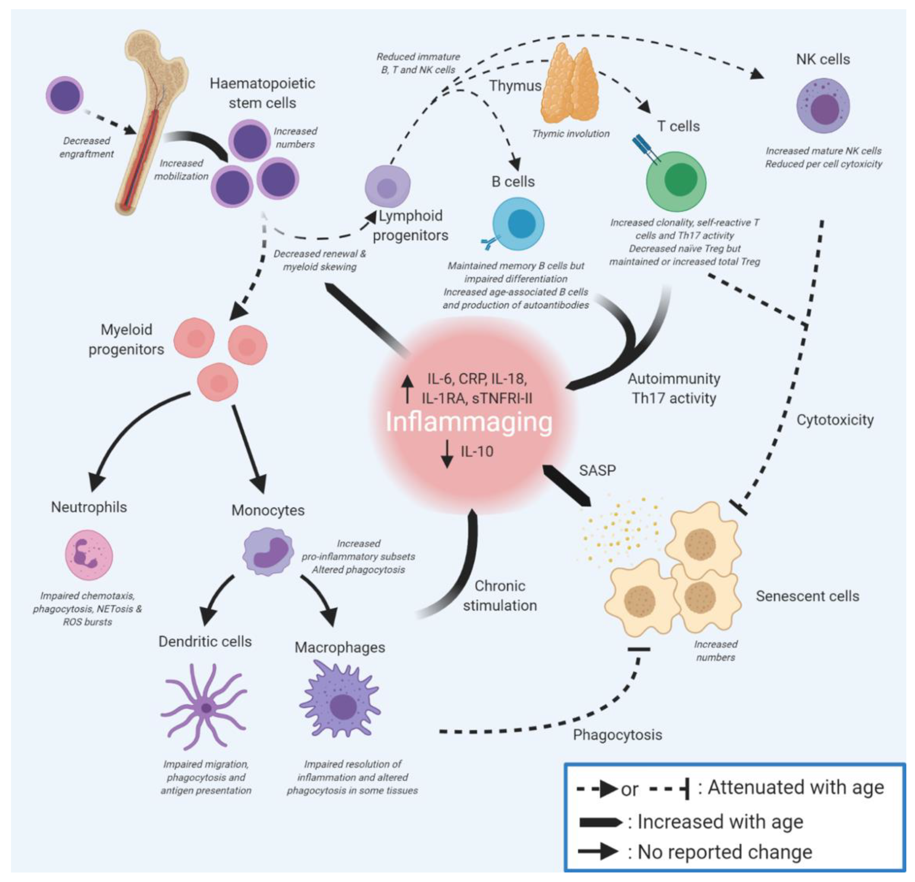 Cells 11 00359 g005 Cells 11 00359 g005