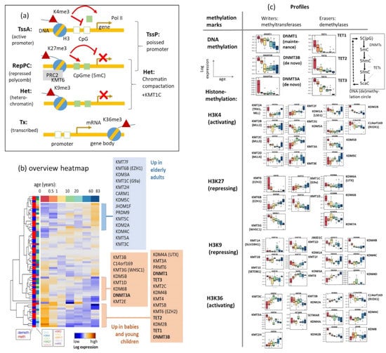 Cells 11 00362 g006 550