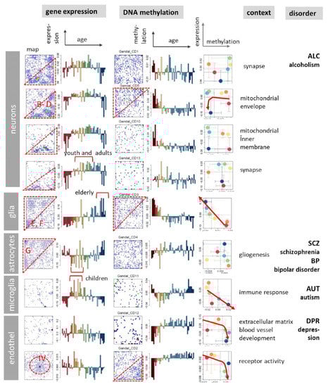 Cells 11 00362 g009 550