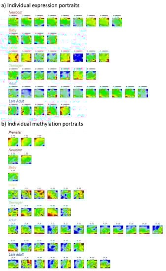 Cells 11 00362 g0a1 550