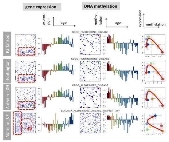 Cells 11 00362 g0a12 550