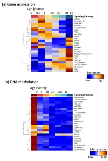 Cells 11 00362 g0a6 550