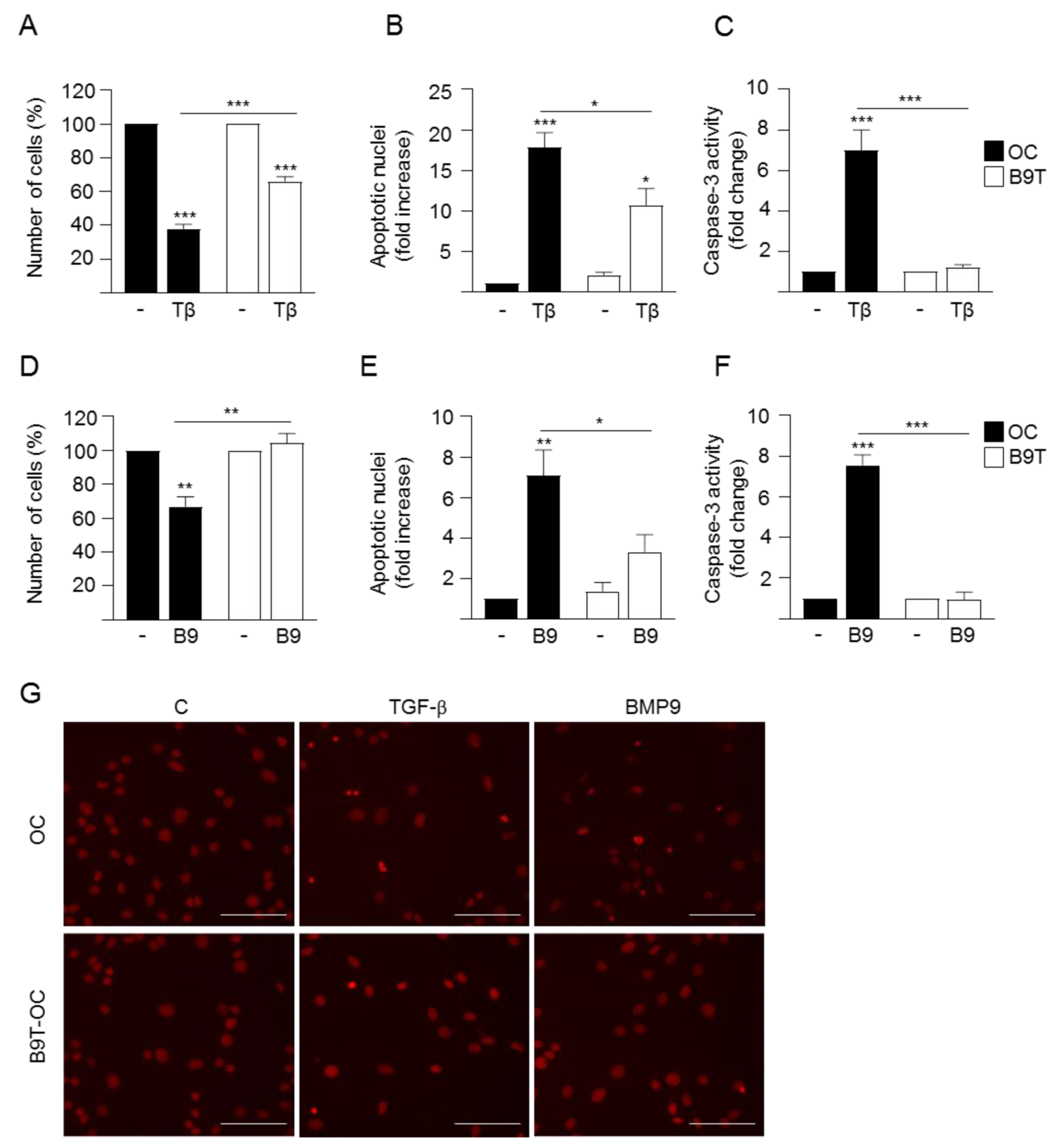 Cells 11 00365 g004 Cells 11 00365 g004