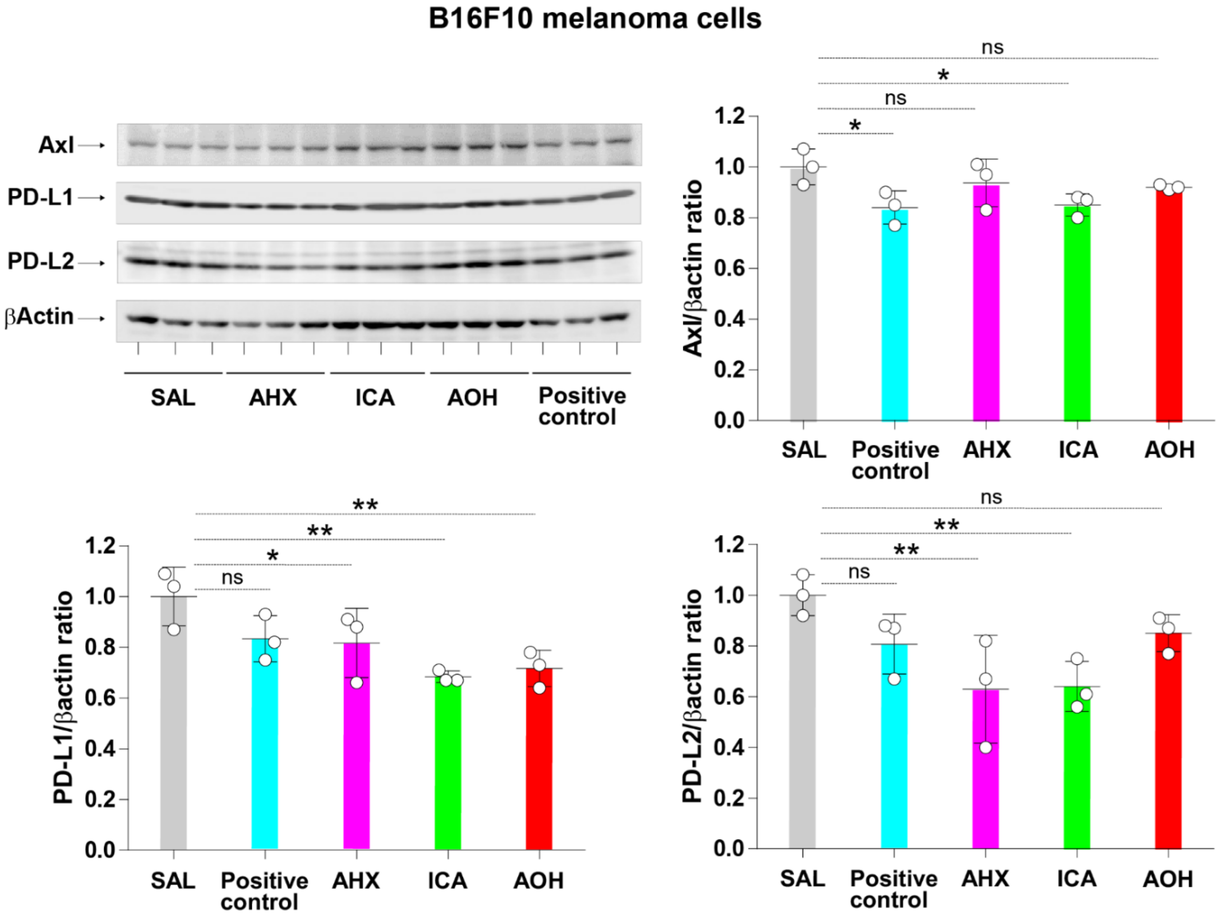 Cells 11 00374 g005