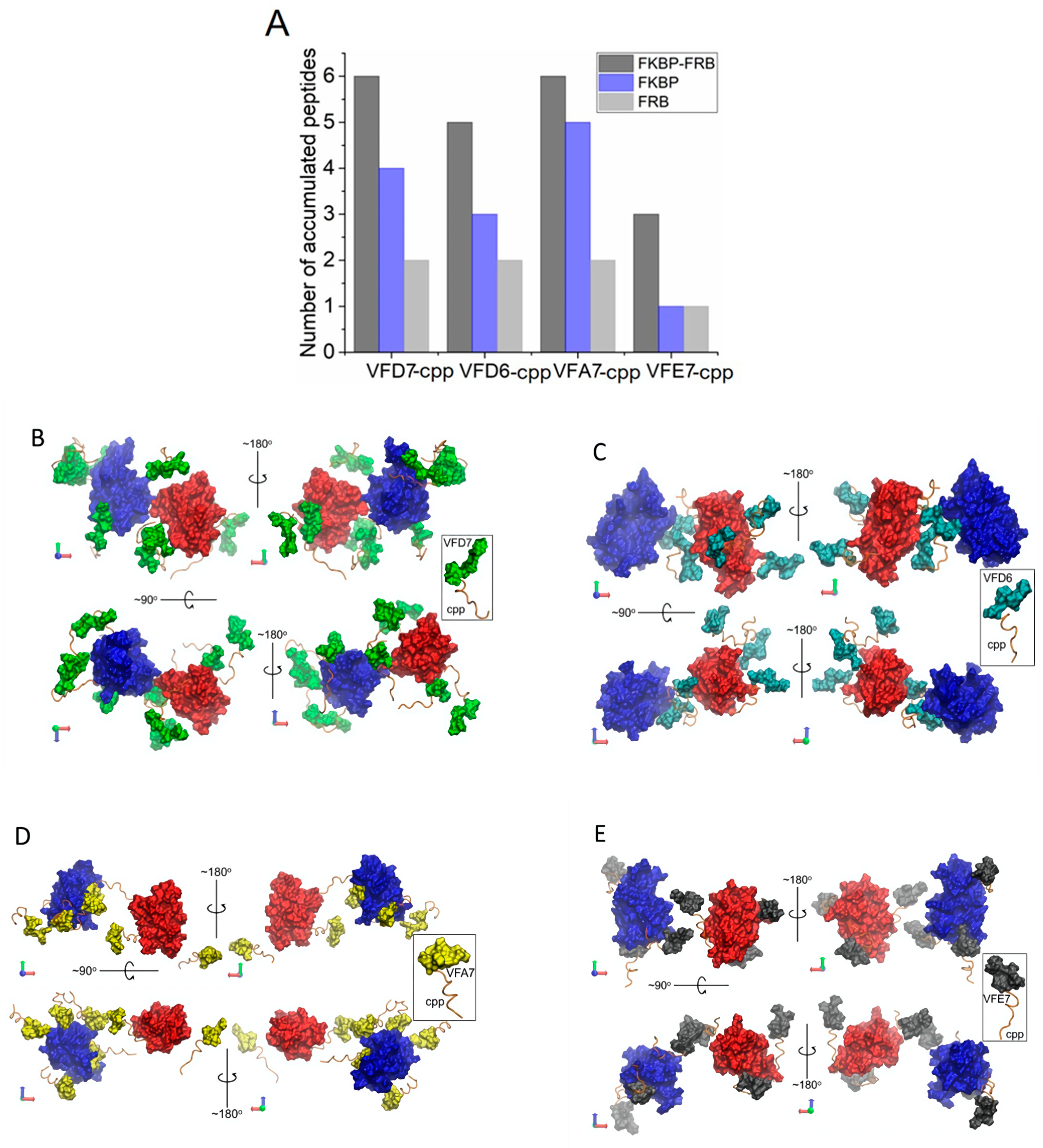 Cells 11 00385 g007