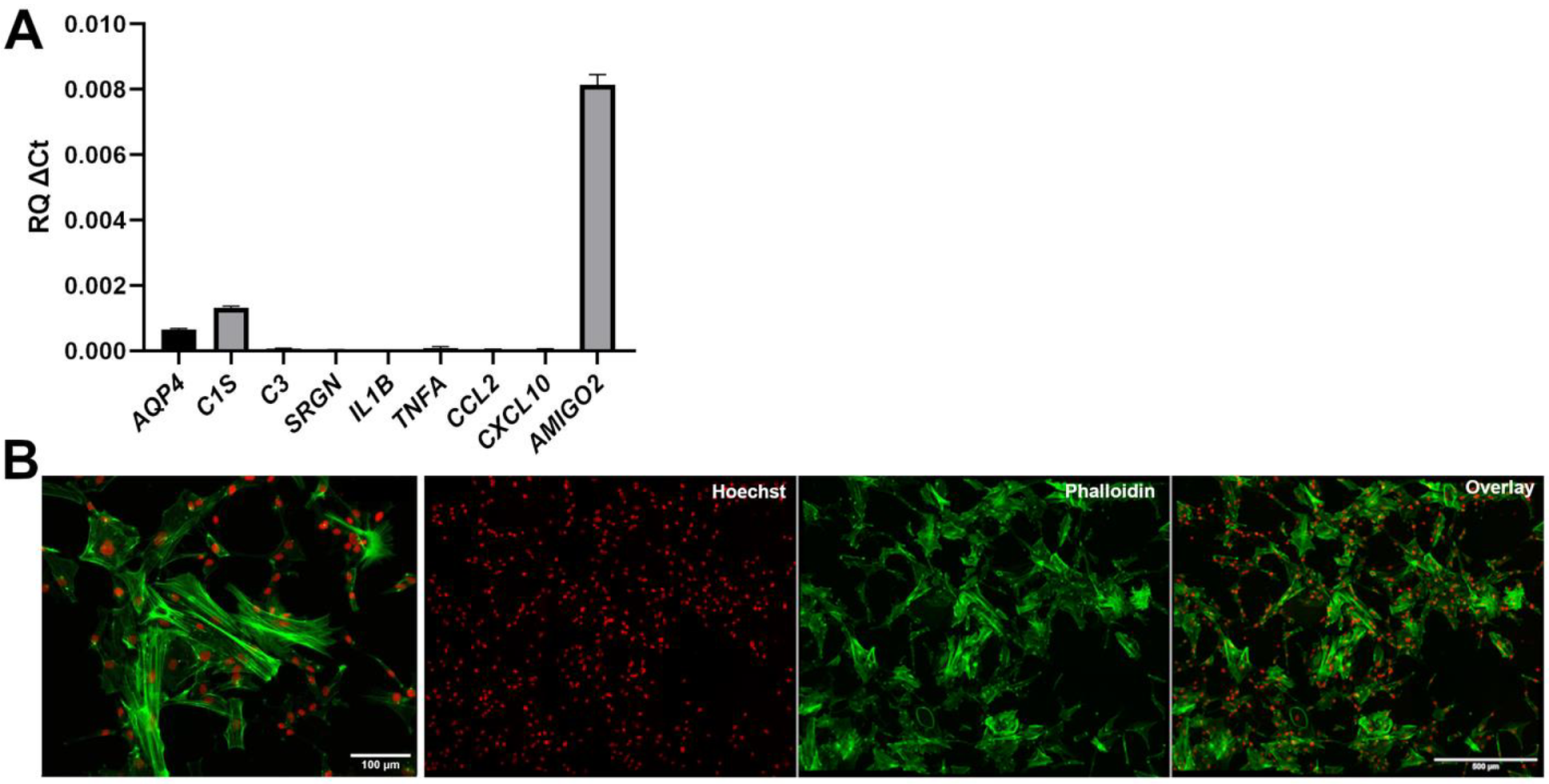 Cells 11 00399 g004 Cells 11 00399 g004