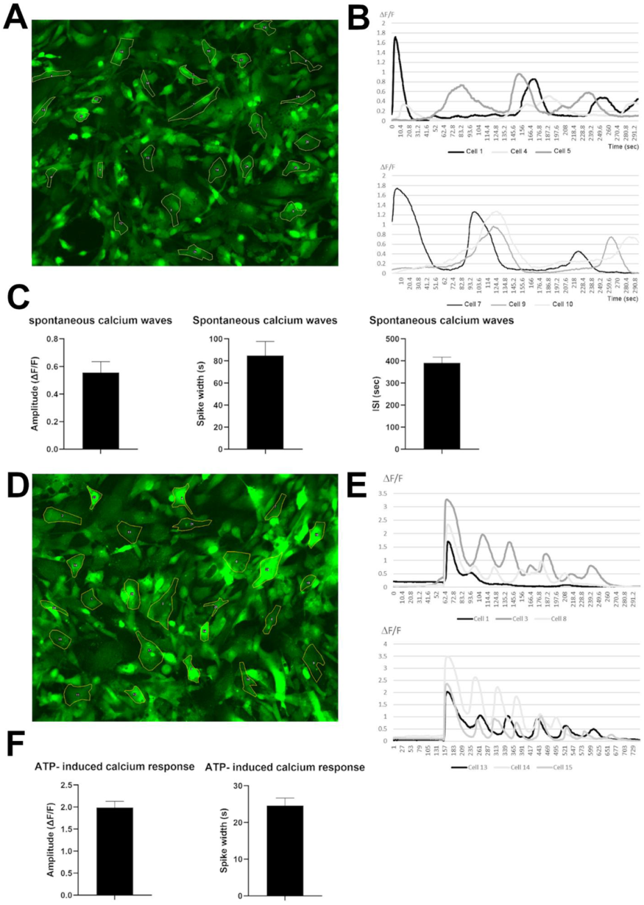 Cells 11 00399 g005 Cells 11 00399 g005