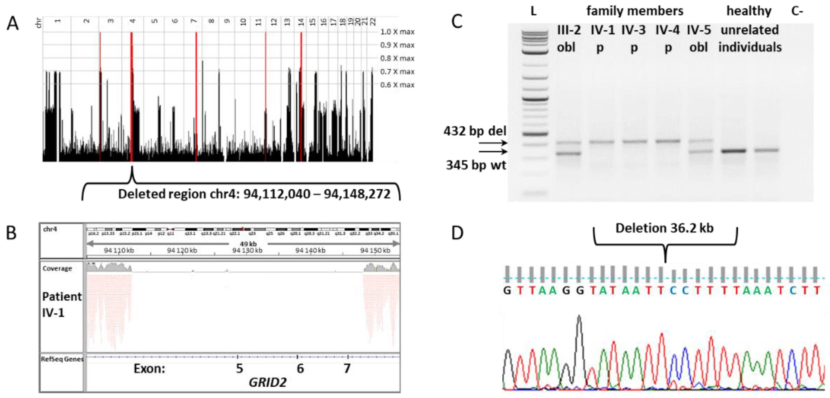 Cells 11 00400 g002 Cells 11 00400 g002