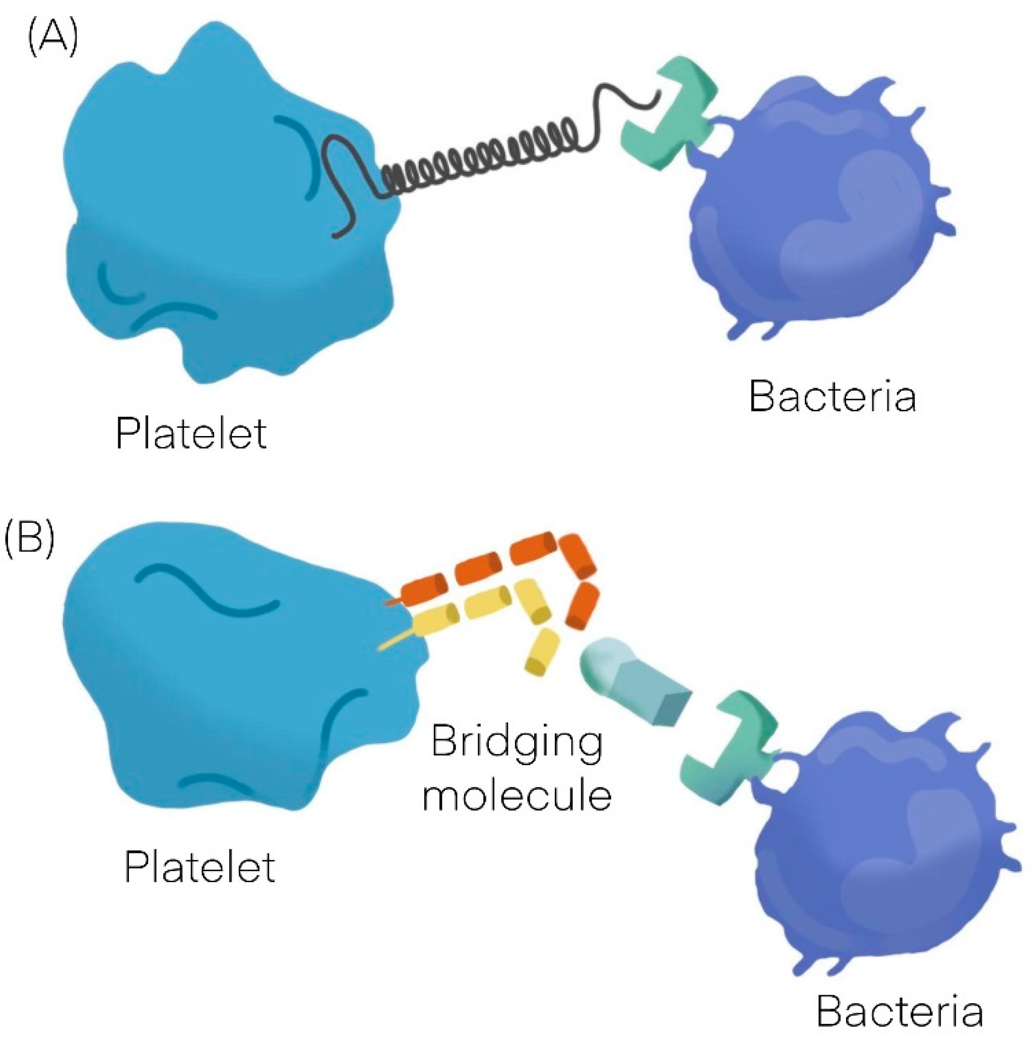 Cells 11 00424 g001 Cells 11 00424 g001