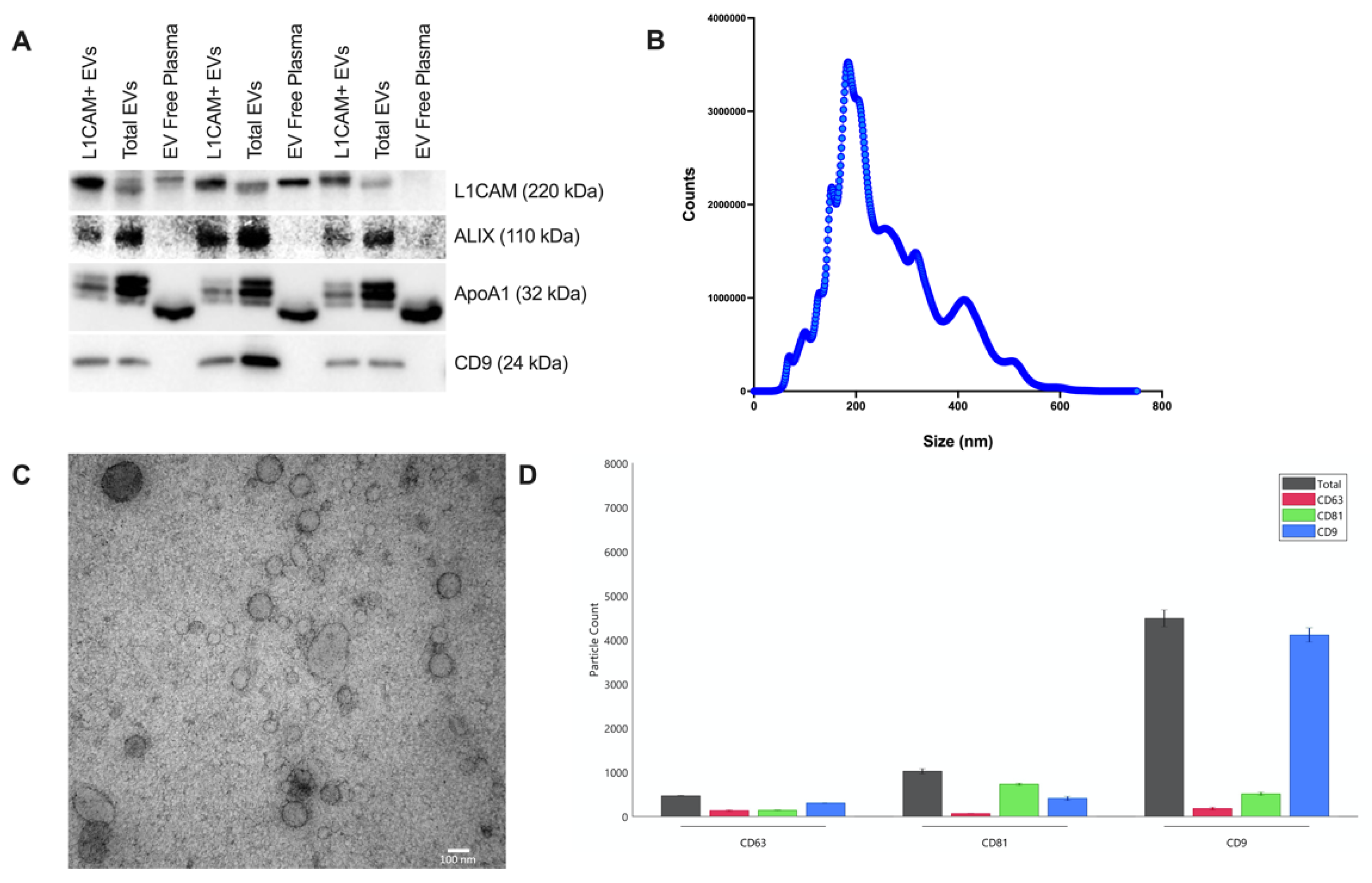 Cells 11 00436 g001 Cells 11 00436 g001