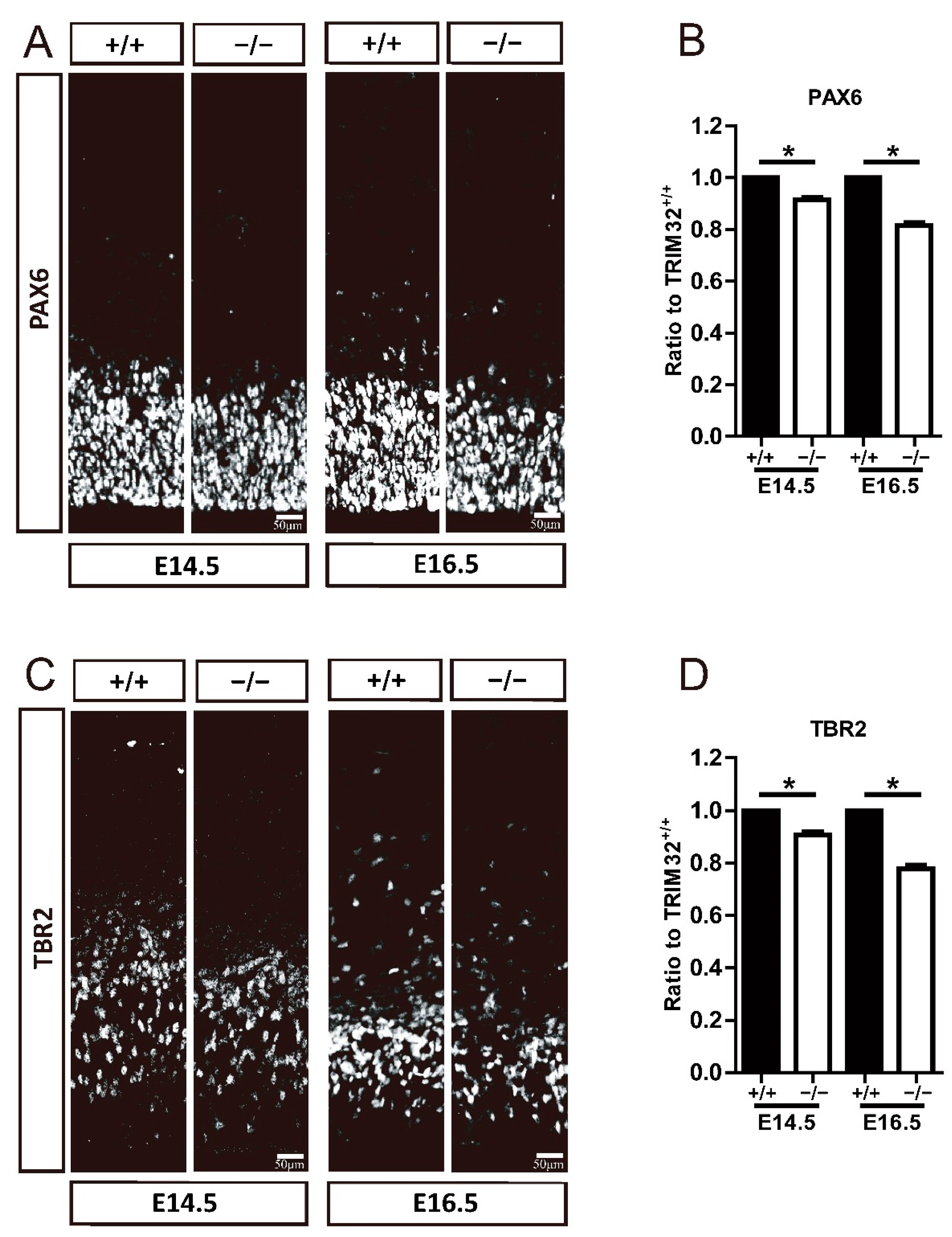 Cells 11 00449 g005 Cells 11 00449 g005